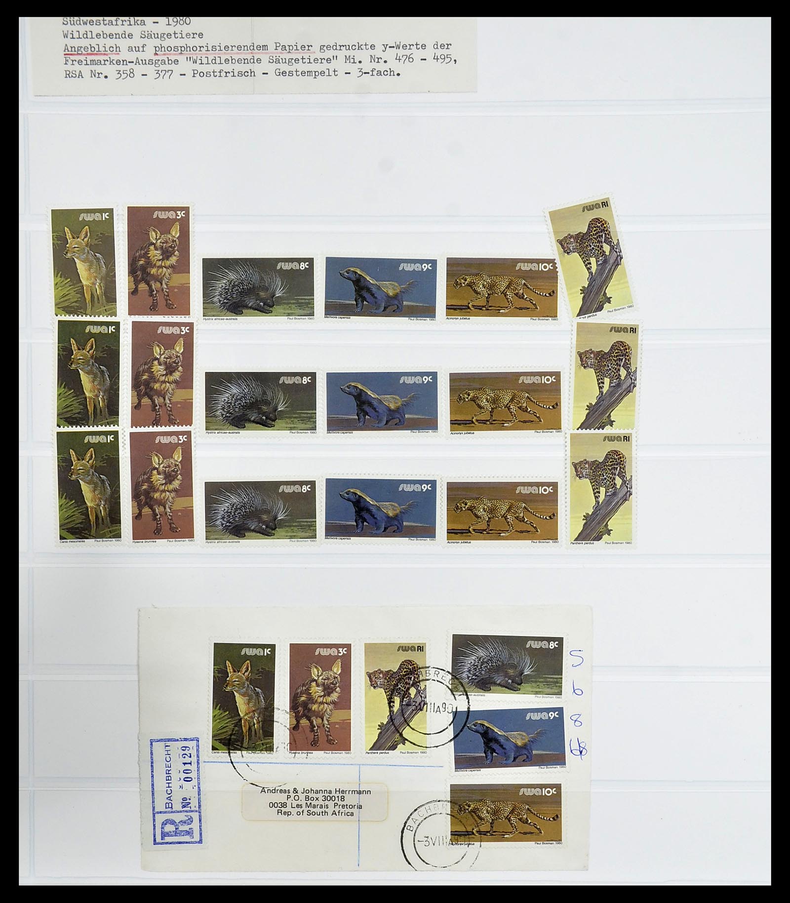 34533 526 - Postzegelverzameling 34533 Zuid Afrika 1870-2000.