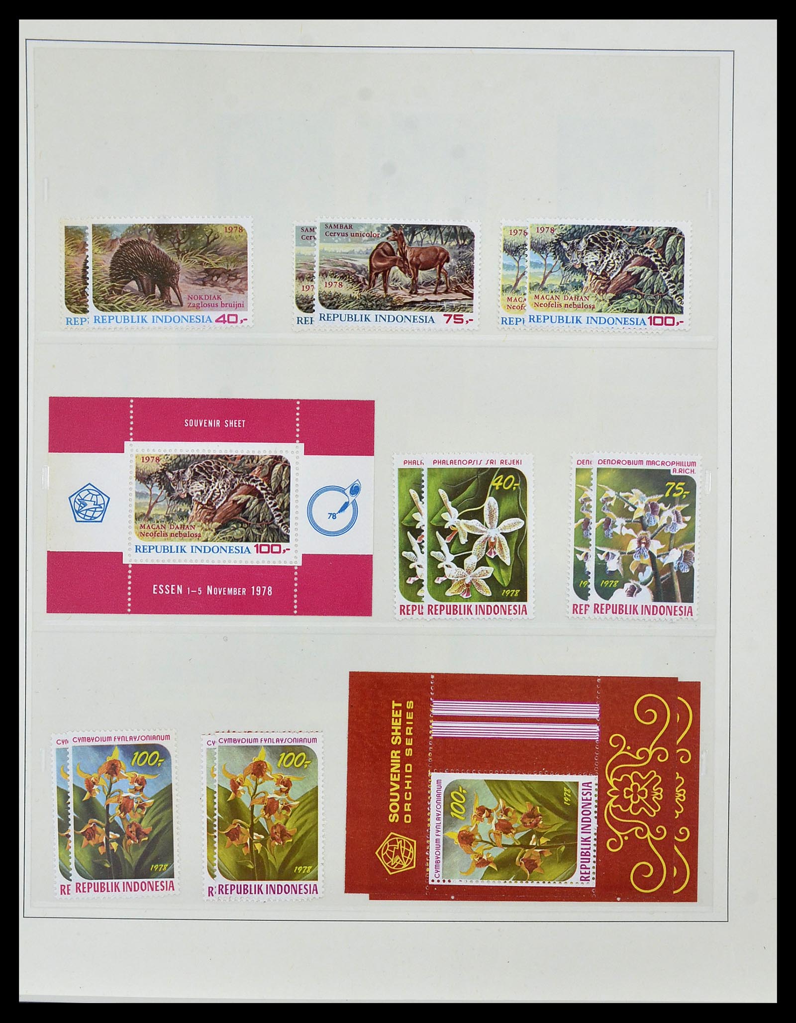 34538 058 - Postzegelverzameling 34538 Indonesië 1951-2005.