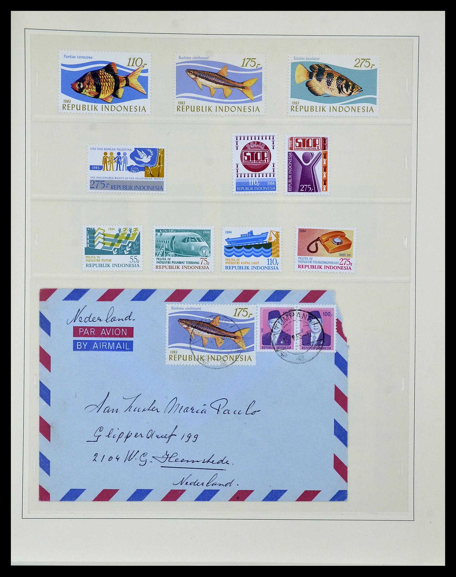 34538 082 - Postzegelverzameling 34538 Indonesië 1951-2005.