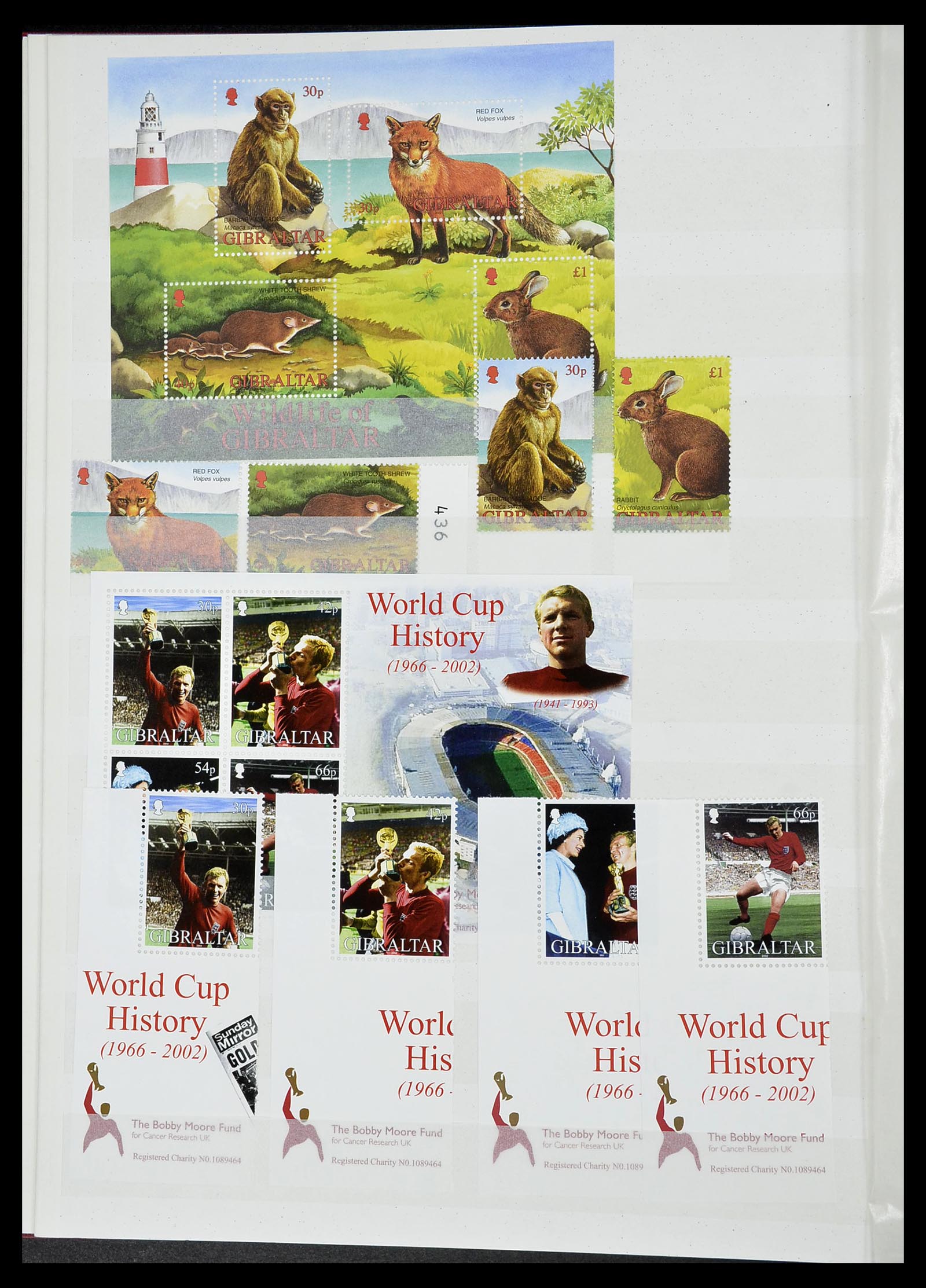 34547 085 - Postzegelverzameling 34547 Gibraltar 1886-2014!