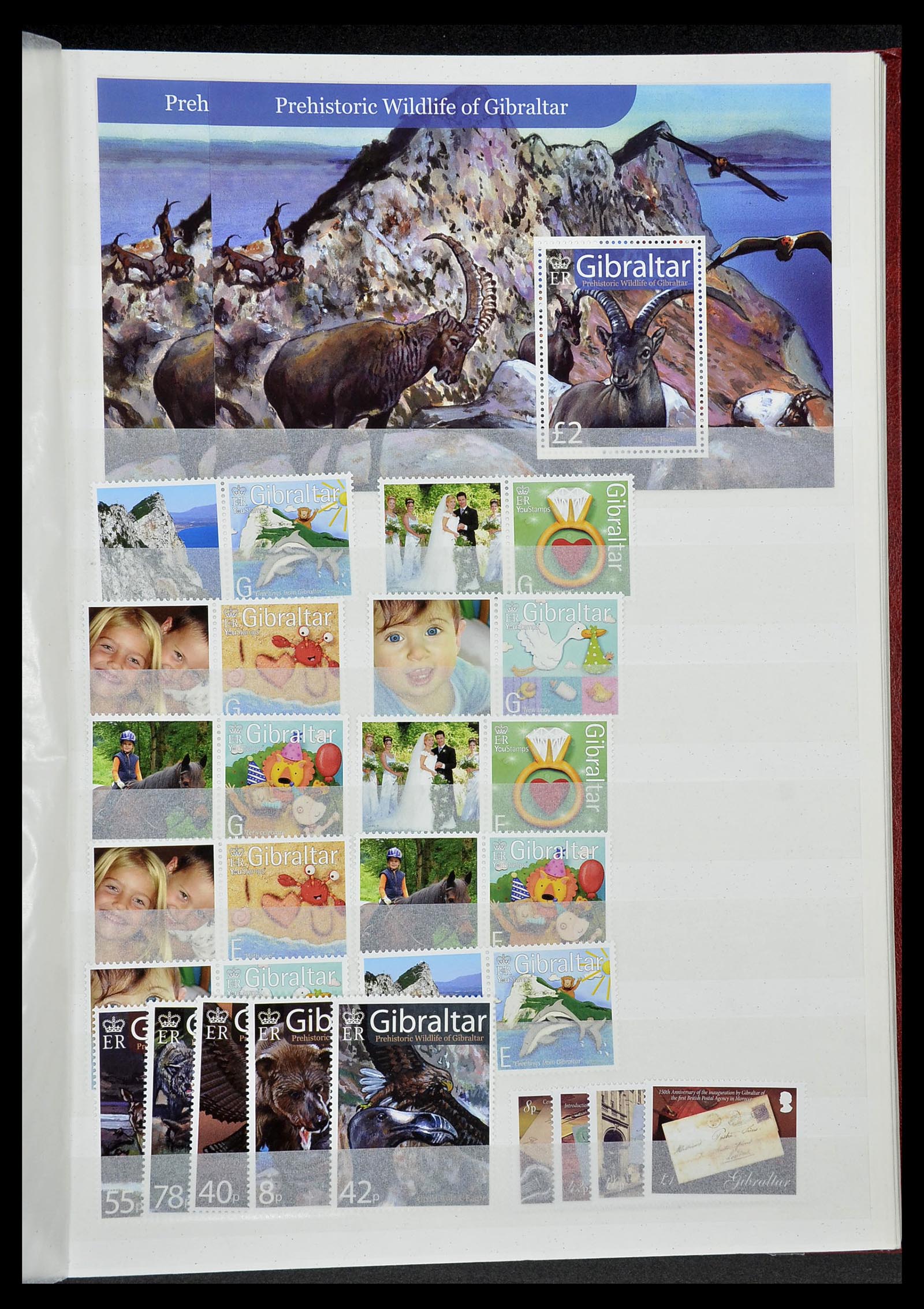 34547 100 - Postzegelverzameling 34547 Gibraltar 1886-2014!
