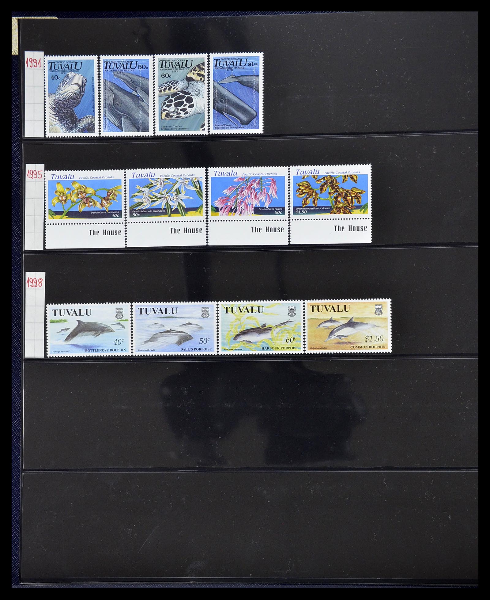 34560 556 - Postzegelverzameling 34560 Engelse gebieden in de stille Zuidzee 1840