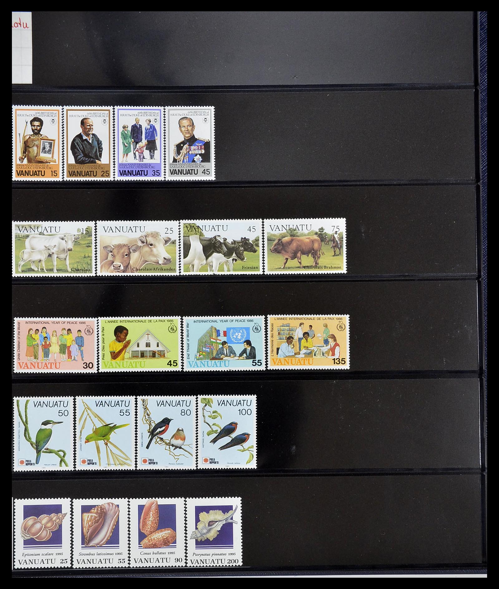 34560 562 - Postzegelverzameling 34560 Engelse gebieden in de stille Zuidzee 1840