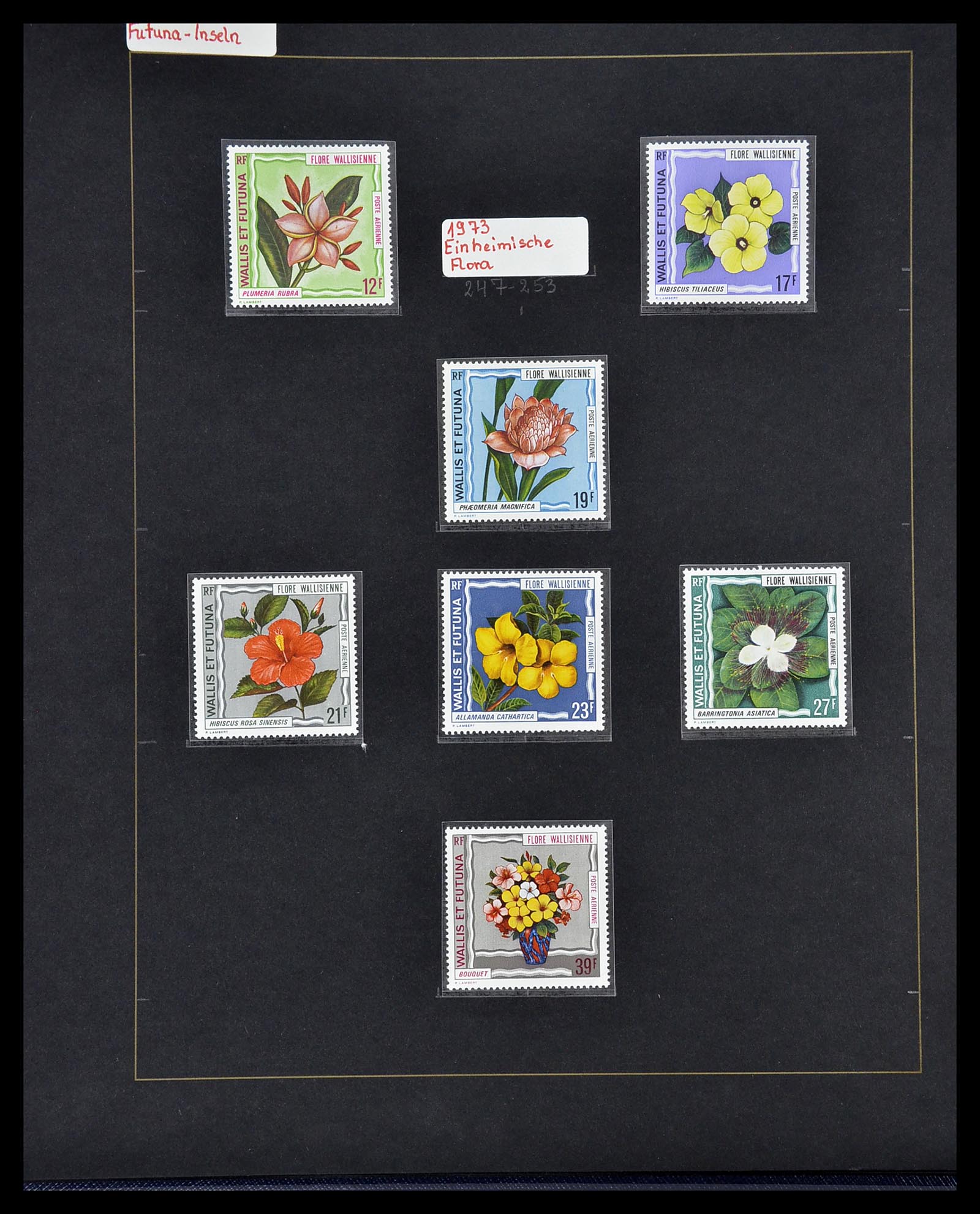 34560 579 - Postzegelverzameling 34560 Engelse gebieden in de stille Zuidzee 1840