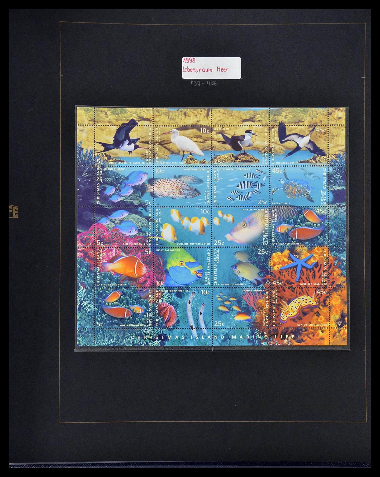 34560 588 - Postzegelverzameling 34560 Engelse gebieden in de stille Zuidzee 1840