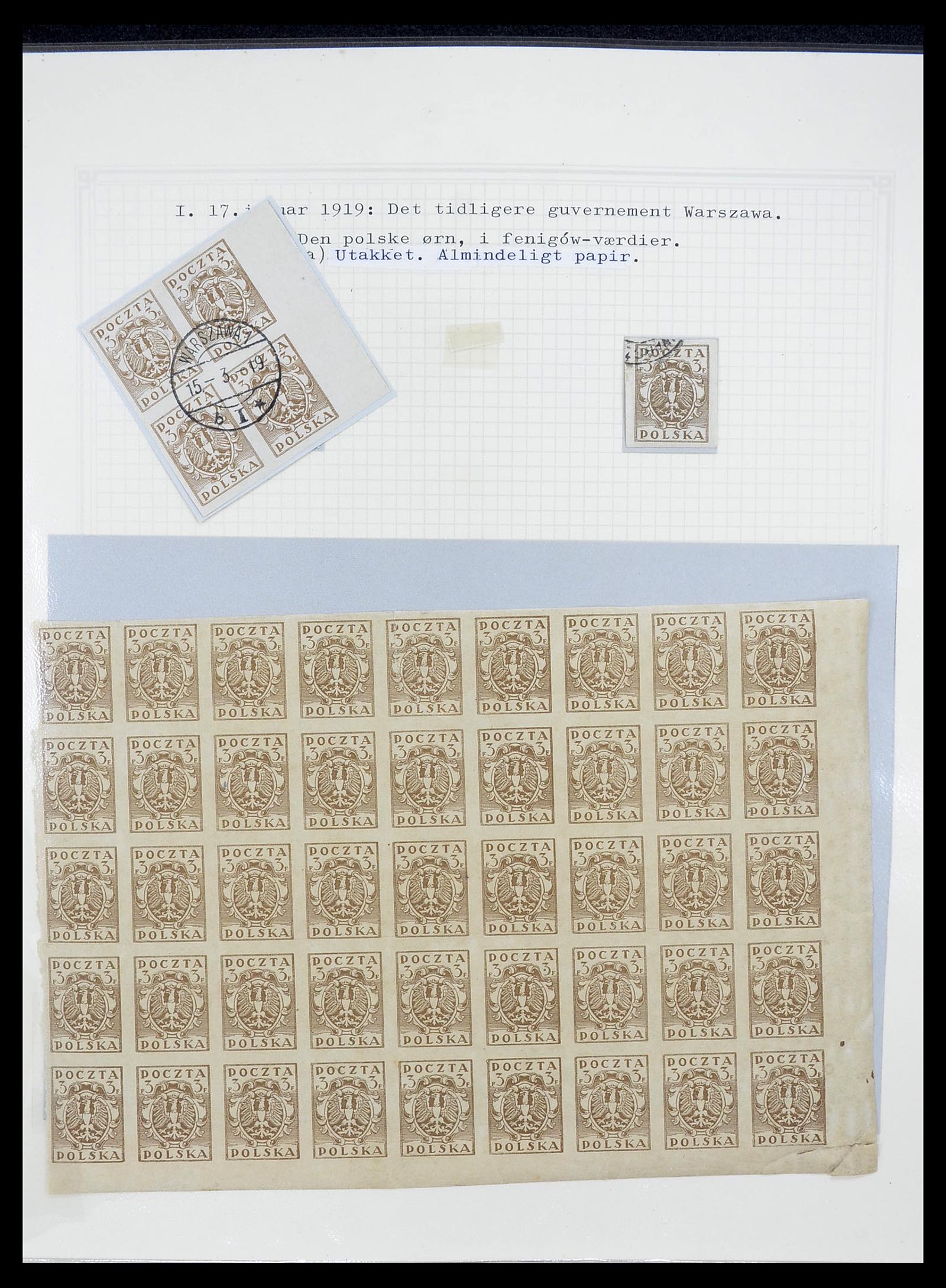 34564 001 - Postzegelverzameling 34564 Polen 1919-1928.