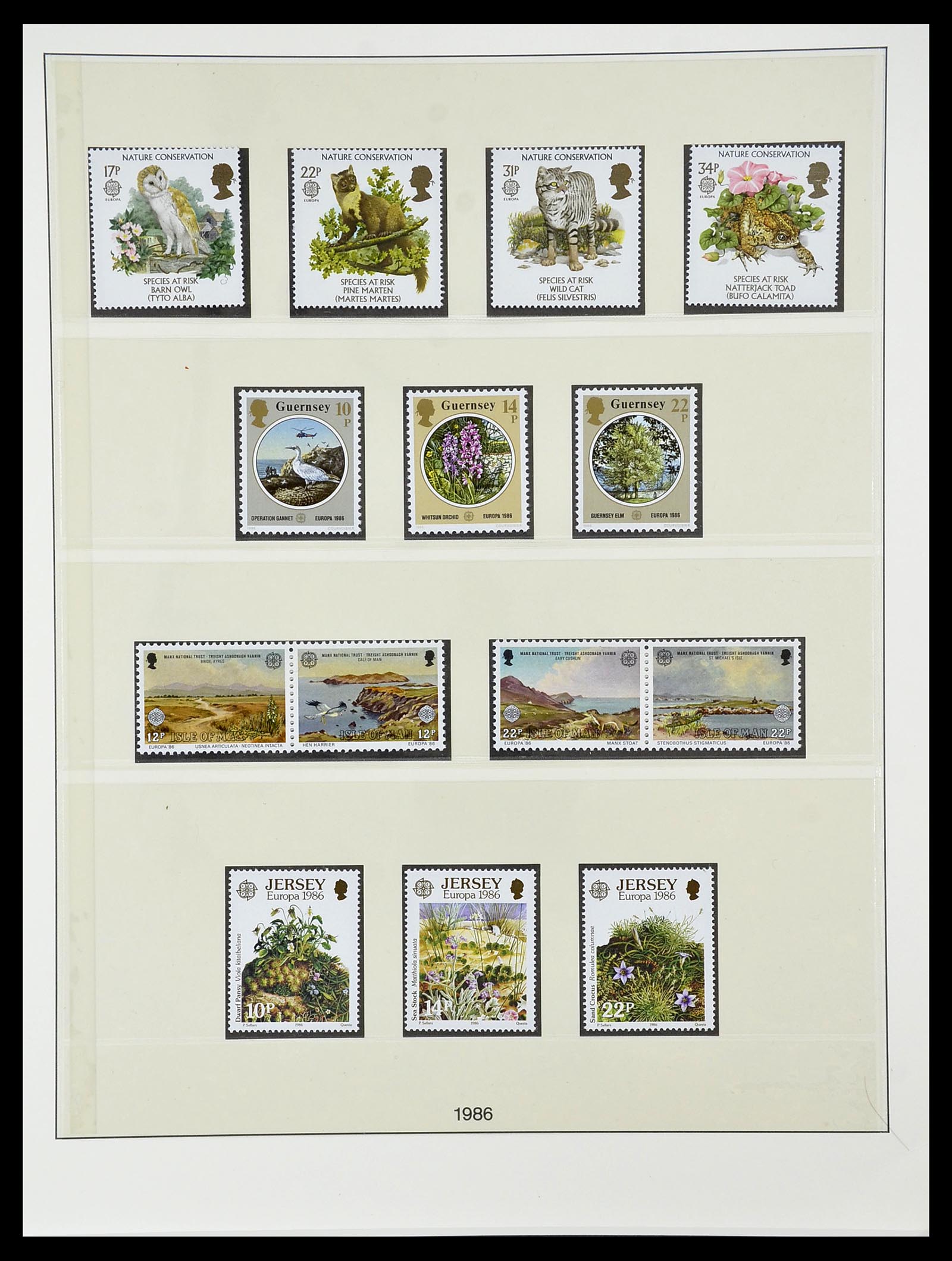 34565 136 - Postzegelverzameling 34565 Europa CEPT 1956-1988.