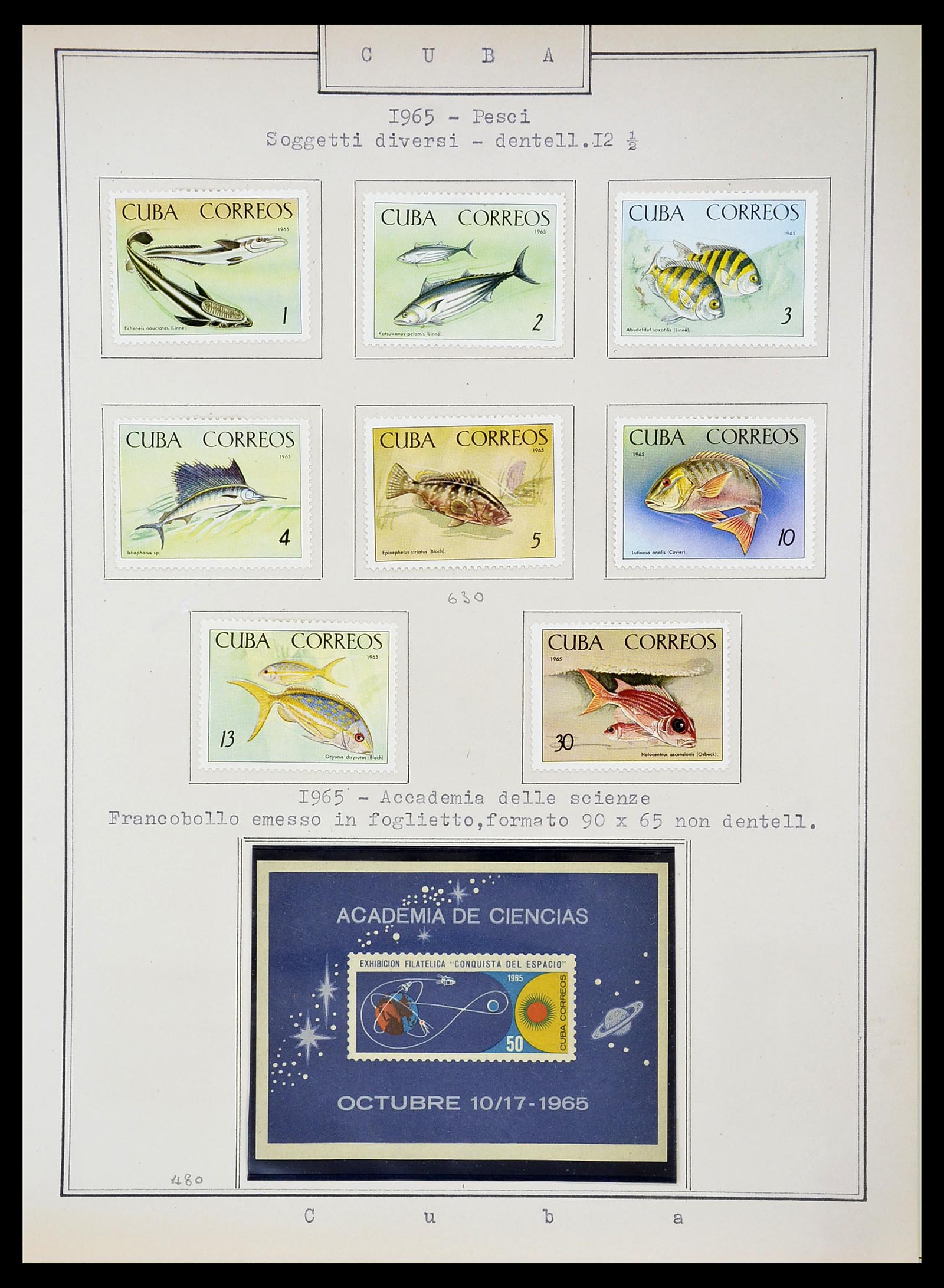 34566 433 - Postzegelverzameling 34566 Cuba 1879-2019!!
