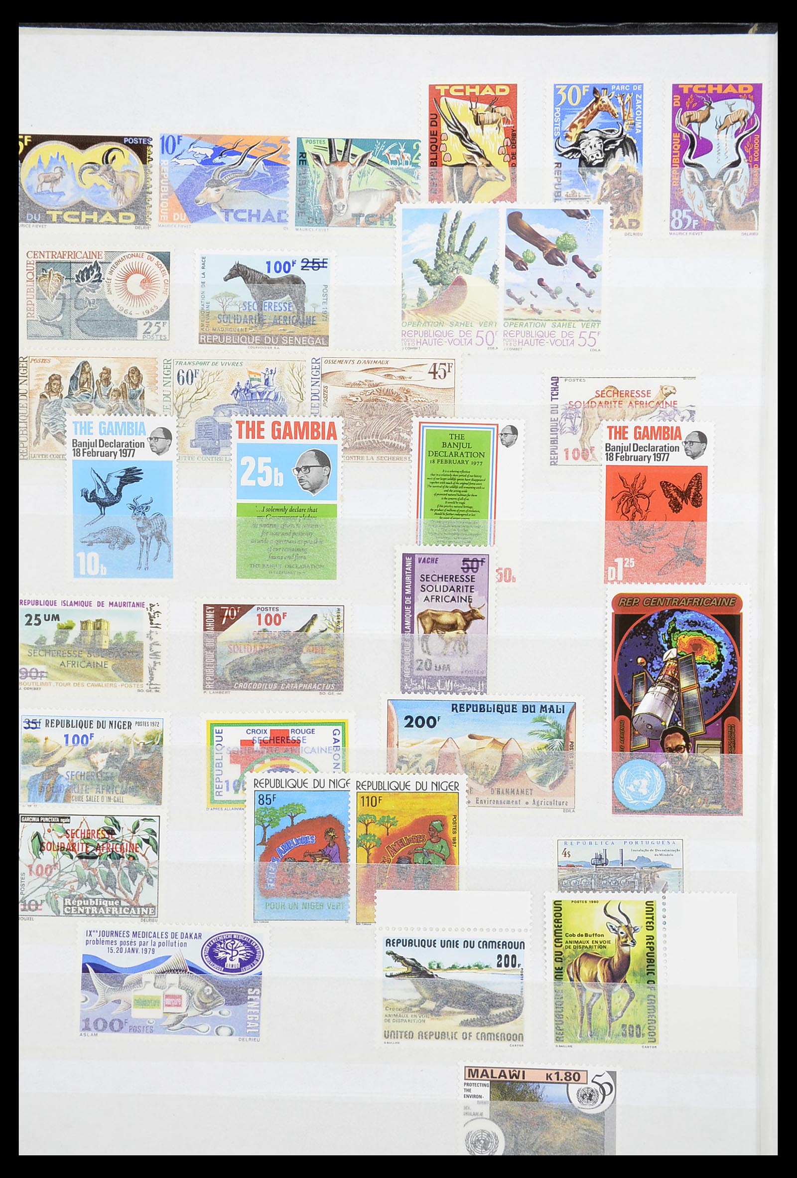 34611 006 - Postzegelverzameling 34611 Motief dieren 1960-2000.