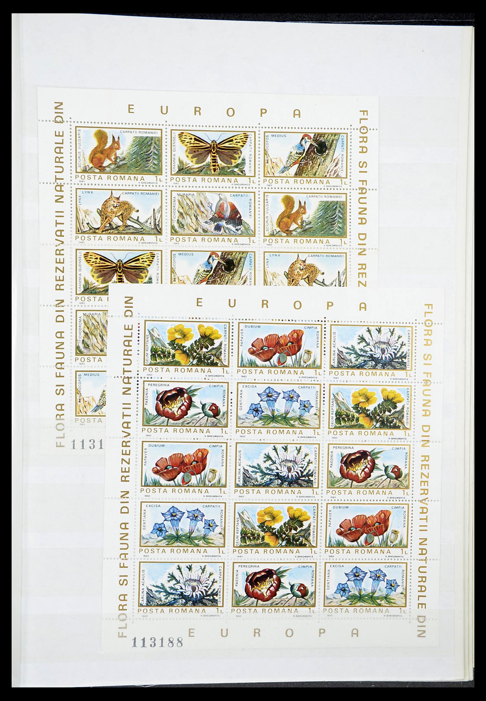 34611 024 - Postzegelverzameling 34611 Motief dieren 1960-2000.