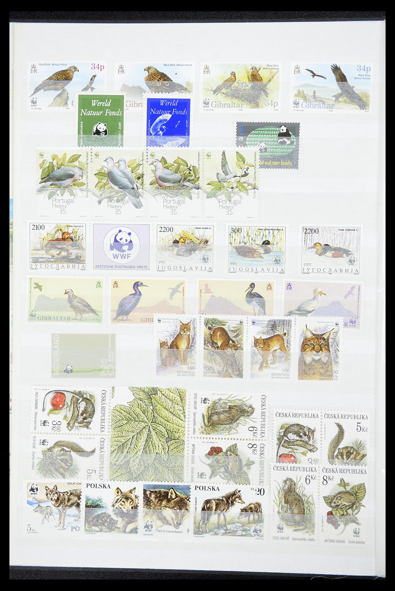 34611 030 - Postzegelverzameling 34611 Motief dieren 1960-2000.