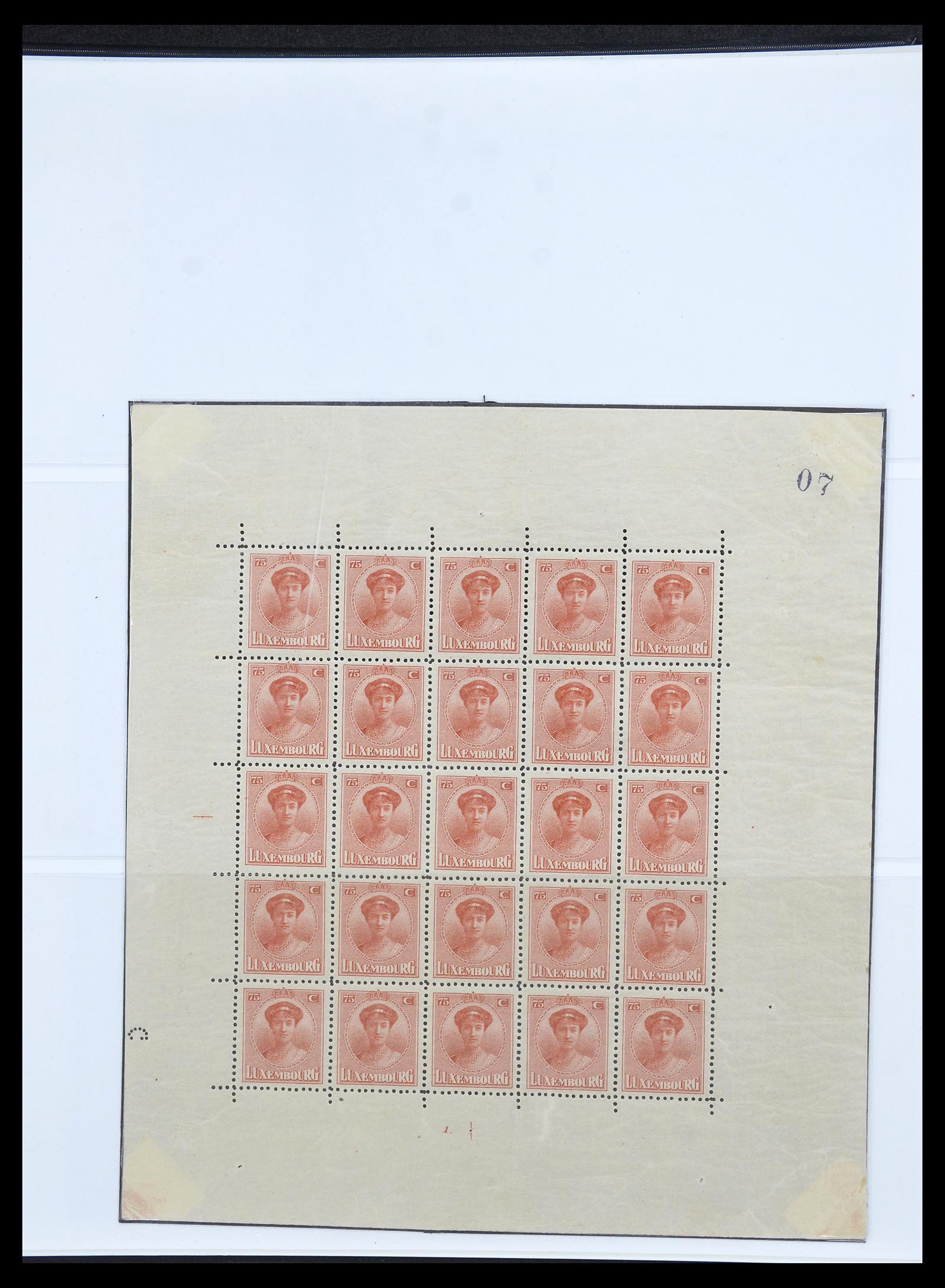 34620 015 - Postzegelverzameling 34620 Luxemburg 1906-2010.