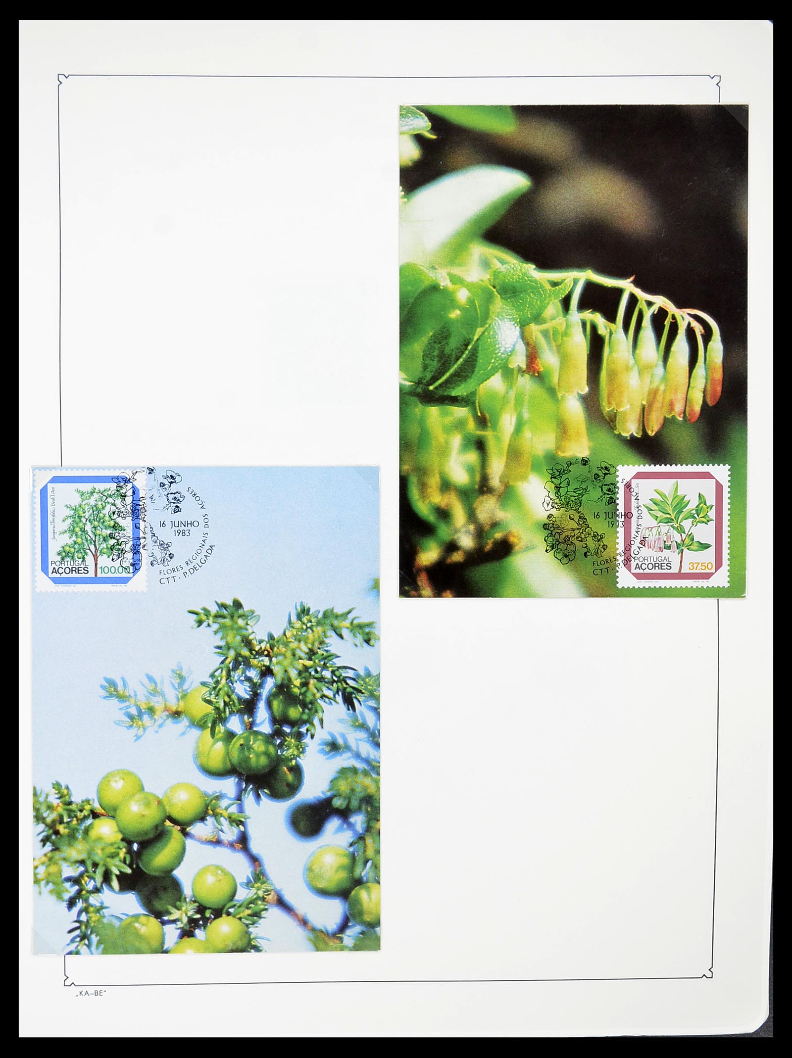 34646 019 - Postzegelverzameling 34646 Azoren en Madeira 1980-2001.