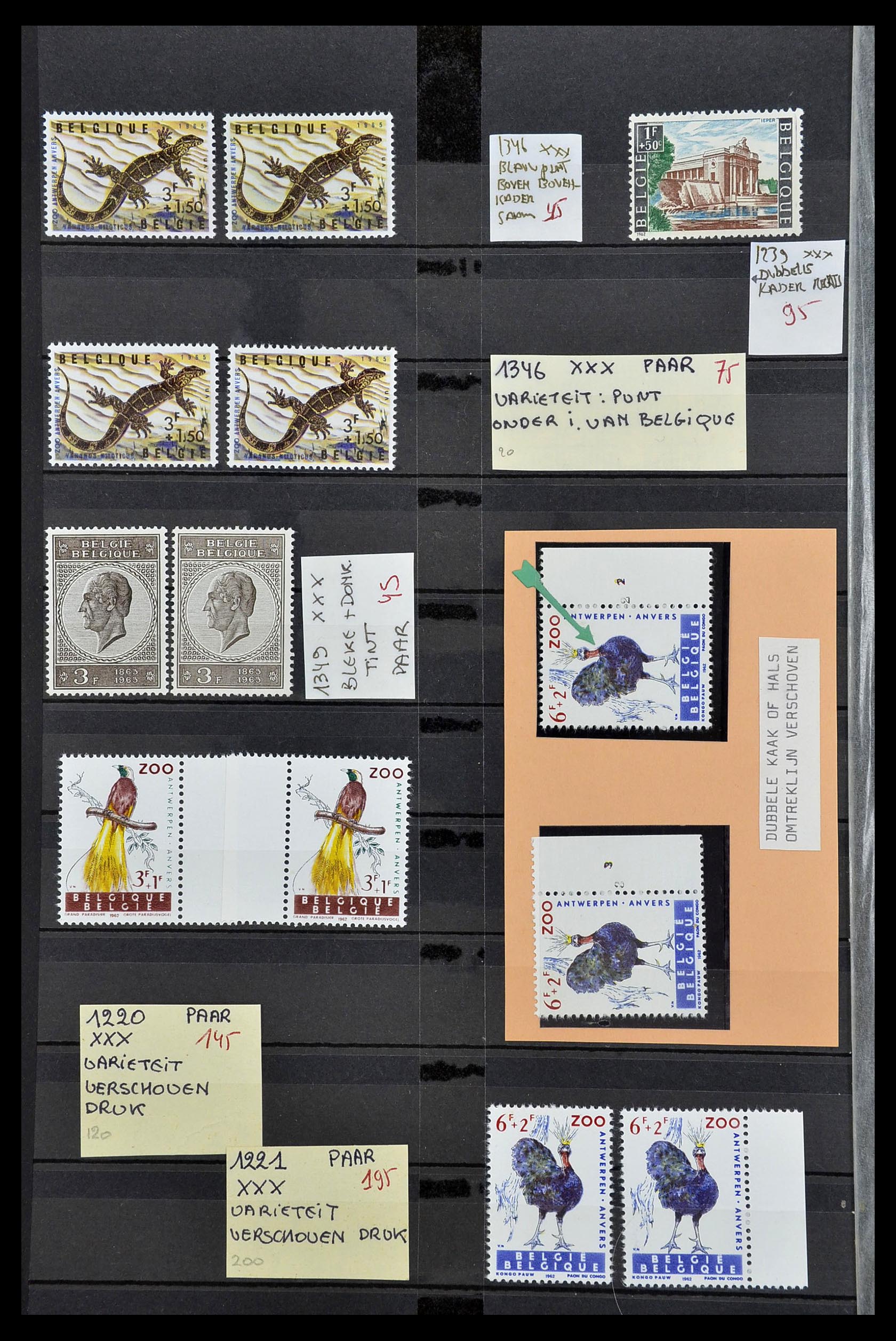 34649 018 - Stamp Collection 34649 Belgium varieties 1940-1971.