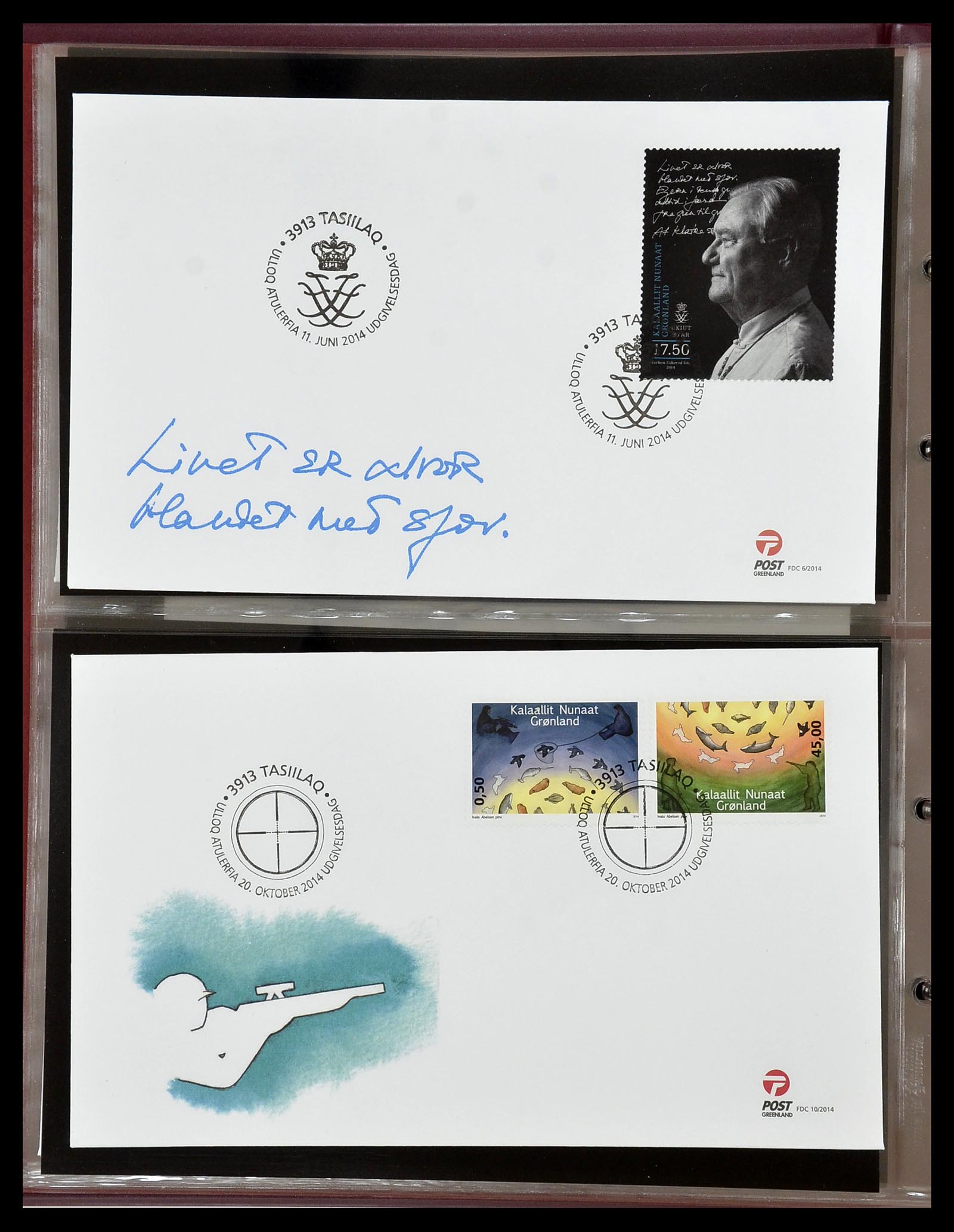 34754 160 - Postzegelverzameling 34754 Groenland FDC's 1959-2018!