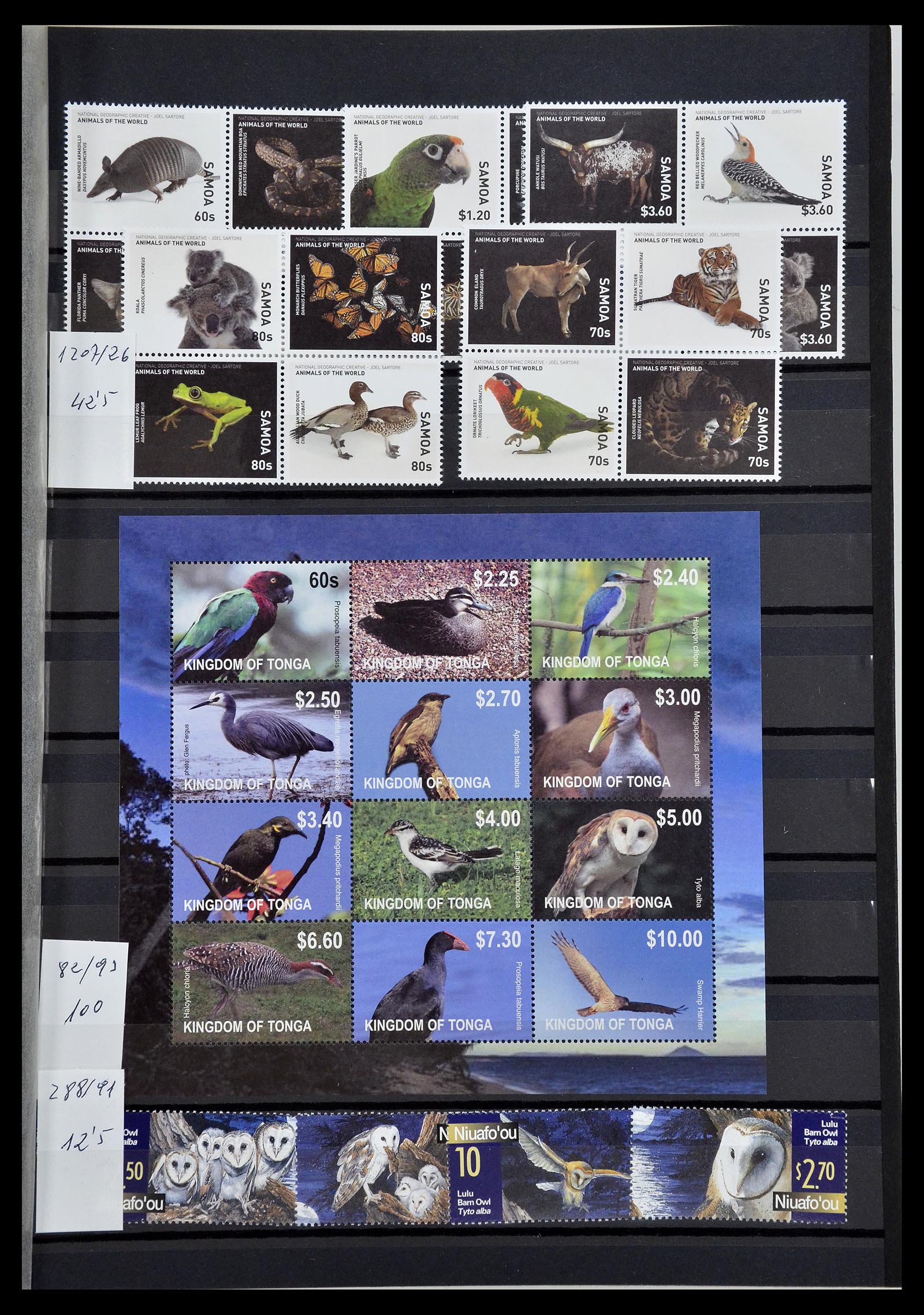 34764 007 - Stamp Collection 34764 Birds 1950-2017!
