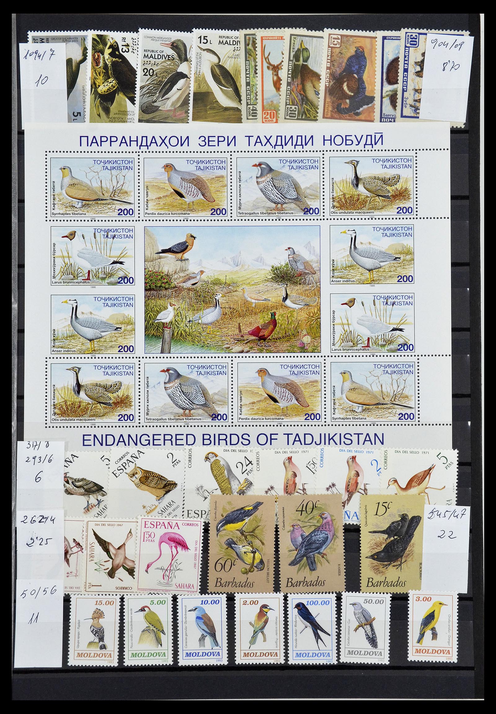 34764 011 - Stamp Collection 34764 Birds 1950-2017!