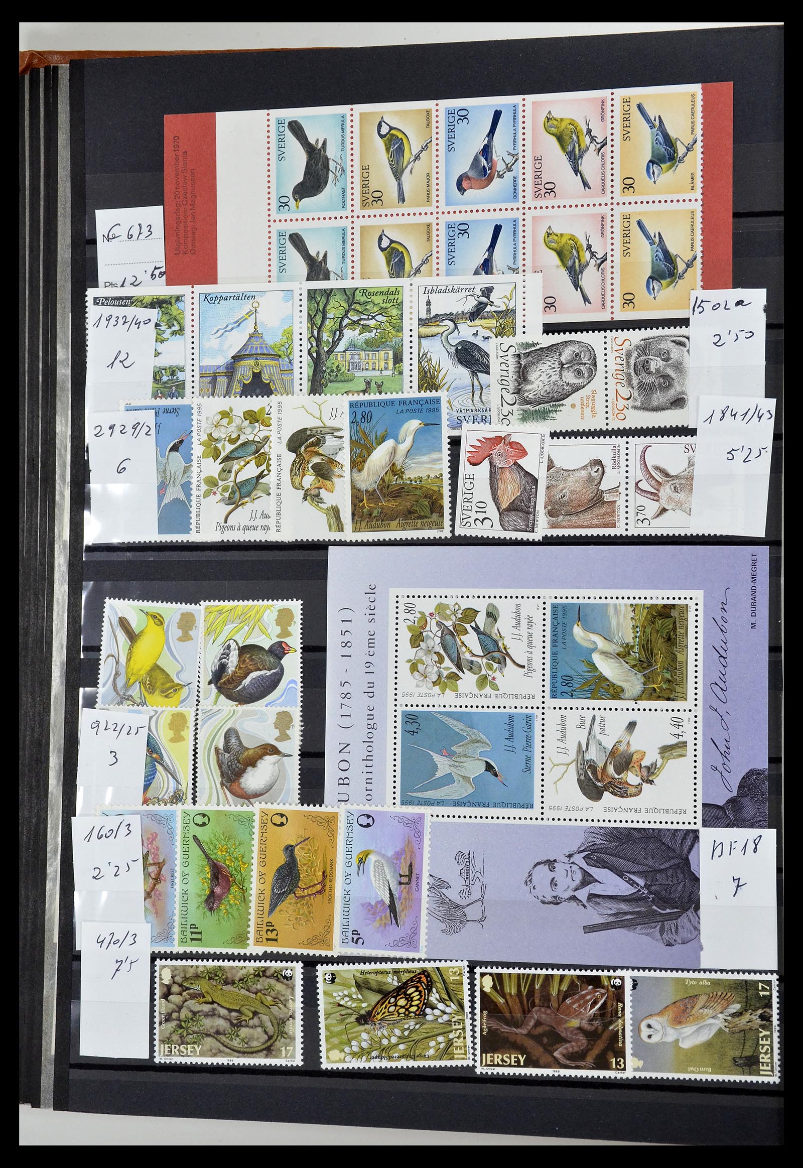 34764 021 - Stamp Collection 34764 Birds 1950-2017!