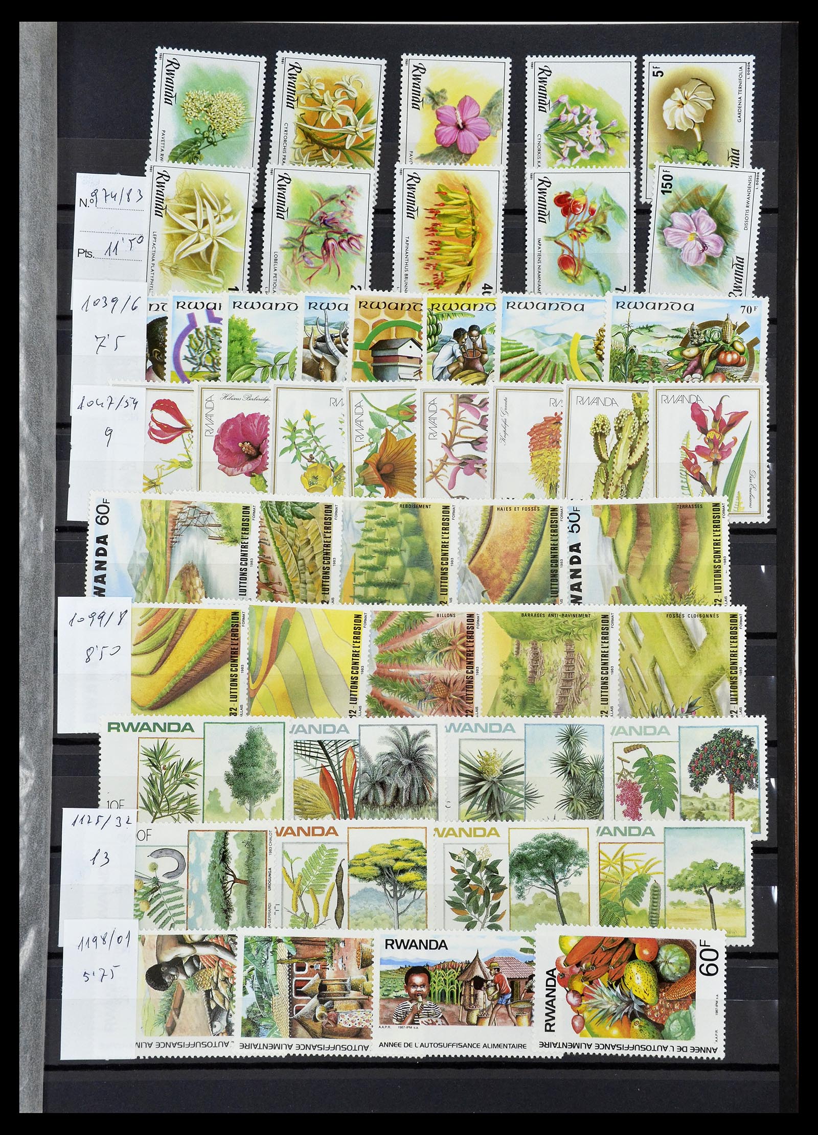 34764 029 - Postzegelverzameling 34764 Vogels 1950-2017!