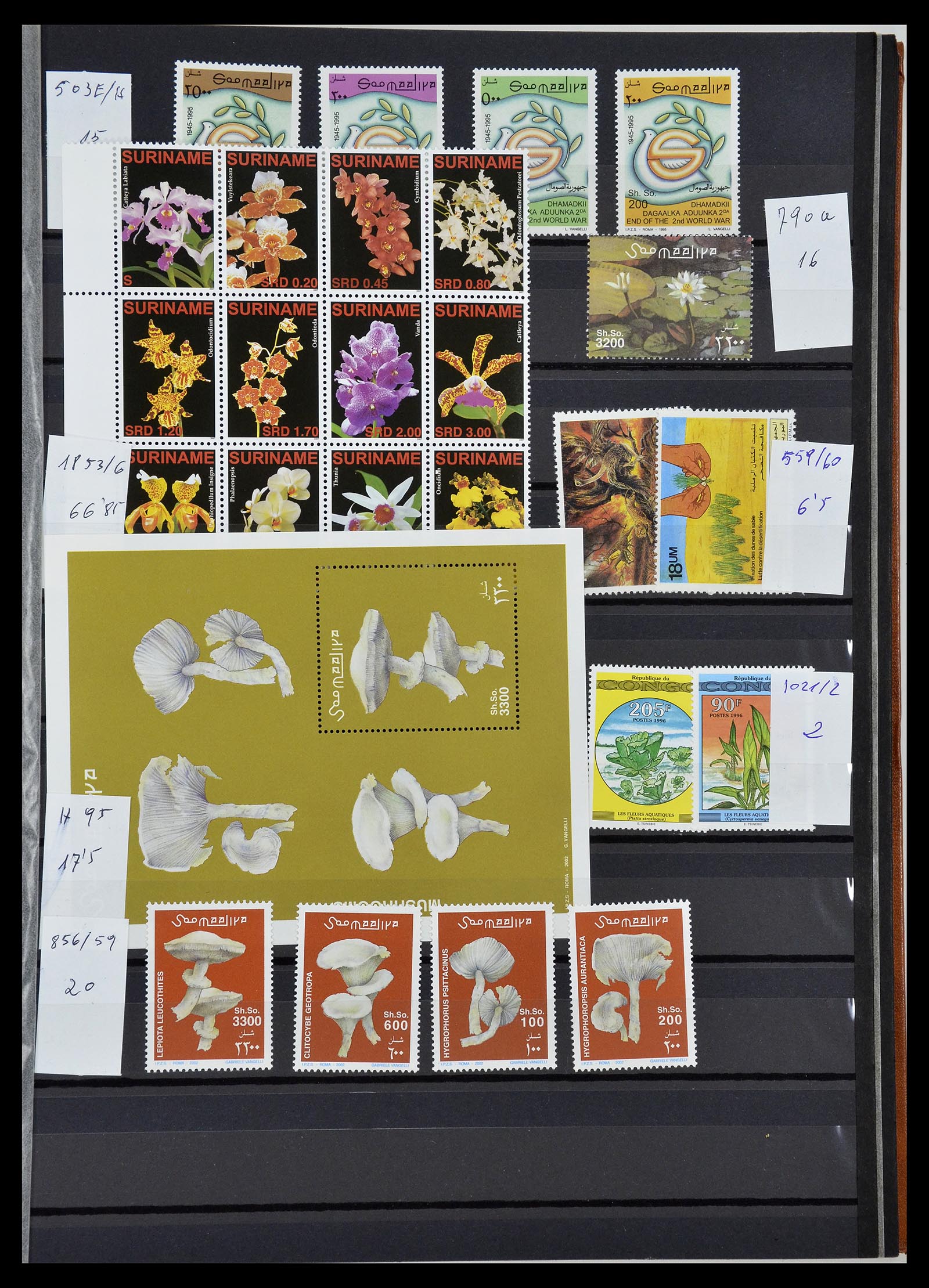 34764 032 - Postzegelverzameling 34764 Vogels 1950-2017!