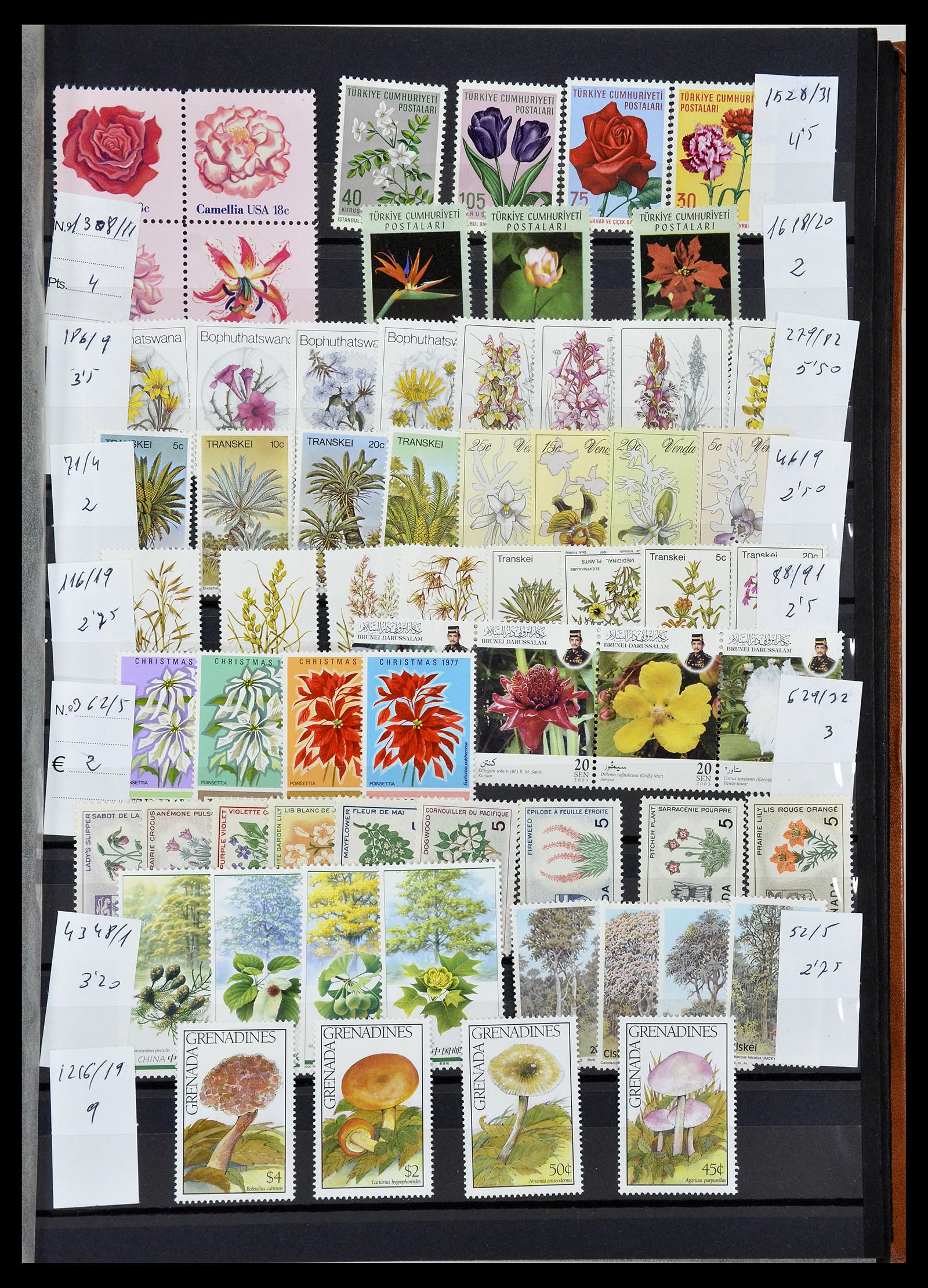 34764 037 - Postzegelverzameling 34764 Vogels 1950-2017!