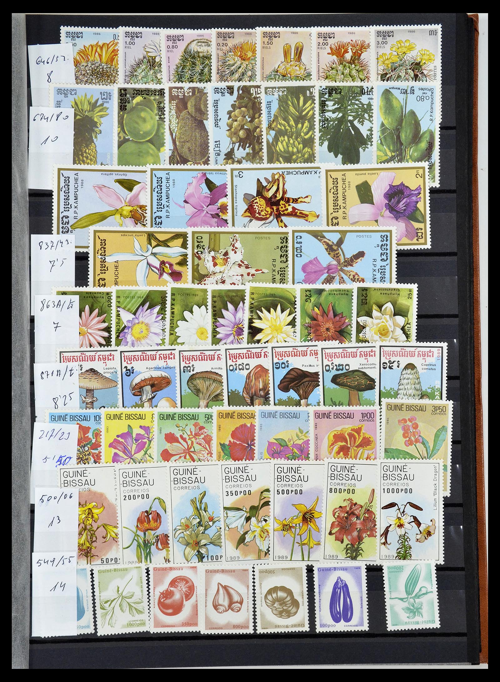 34764 039 - Postzegelverzameling 34764 Vogels 1950-2017!