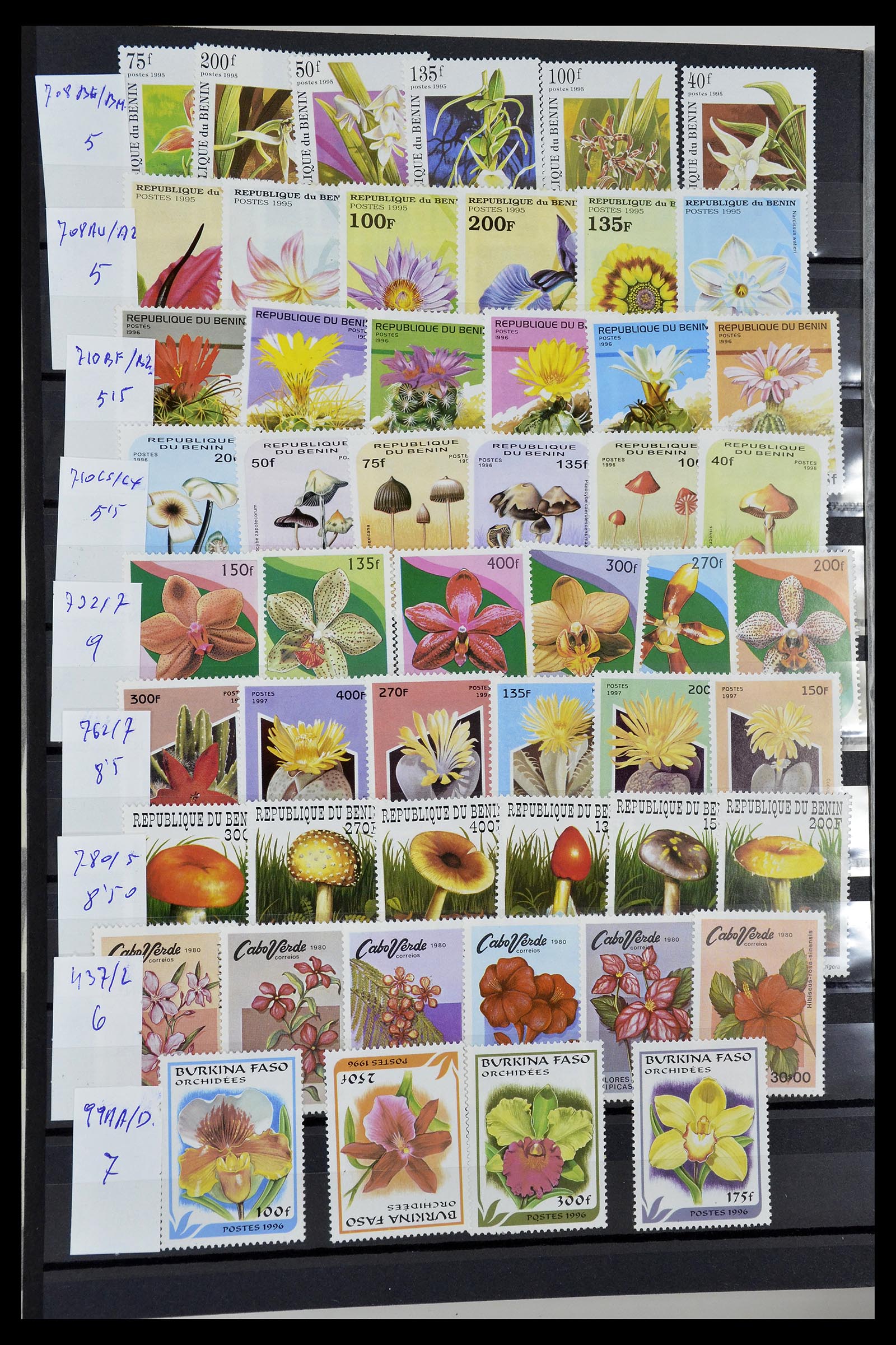 34764 040 - Stamp Collection 34764 Birds 1950-2017!