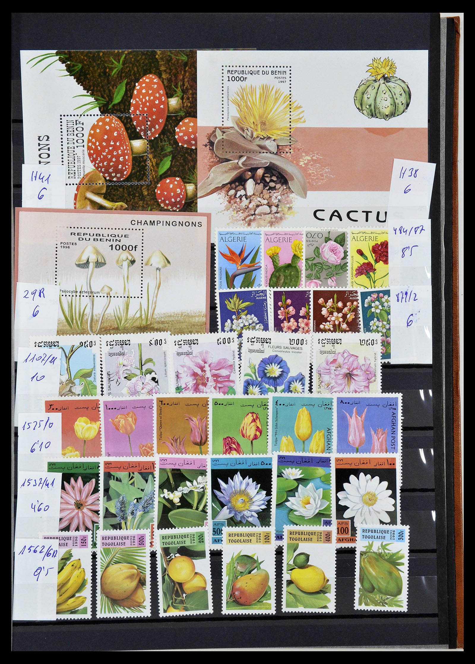 34764 041 - Postzegelverzameling 34764 Vogels 1950-2017!