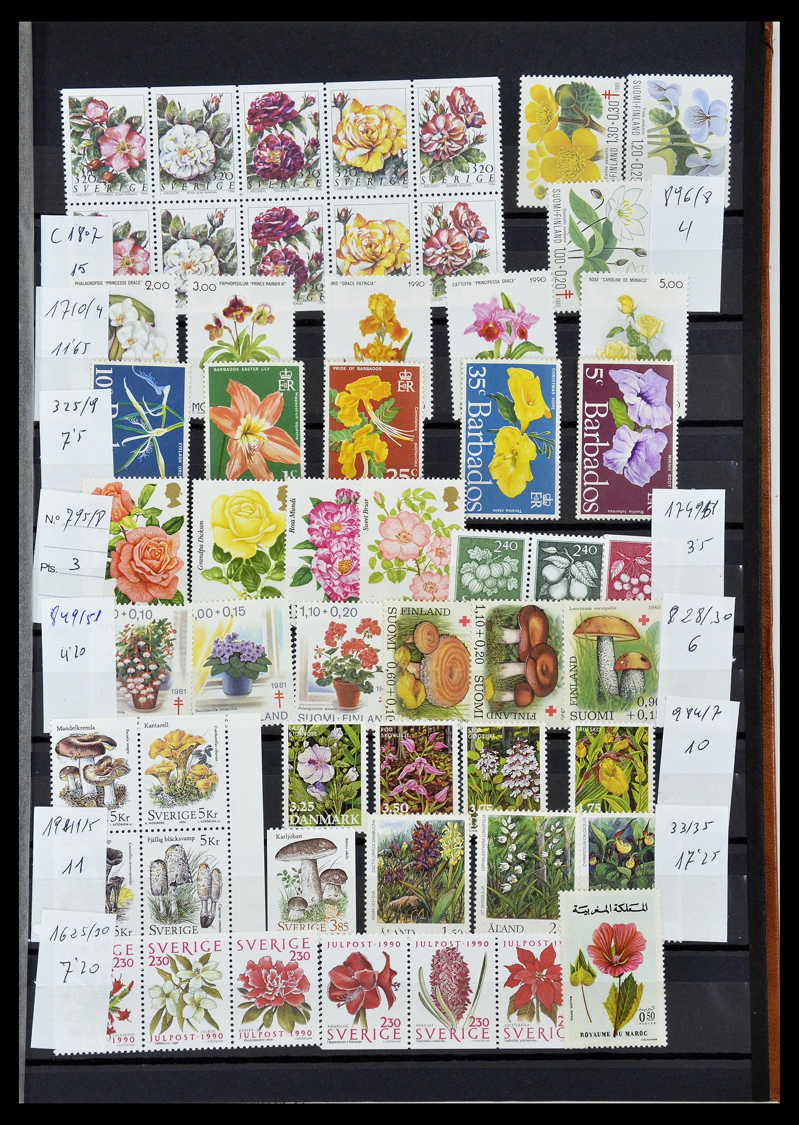 34764 042 - Postzegelverzameling 34764 Vogels 1950-2017!