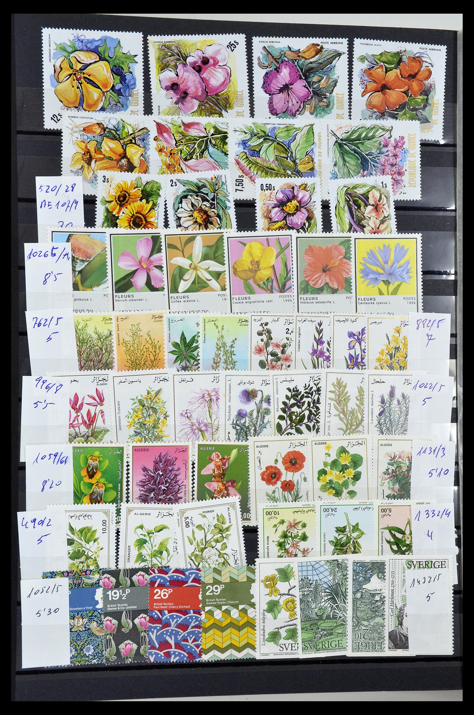 34764 043 - Postzegelverzameling 34764 Vogels 1950-2017!