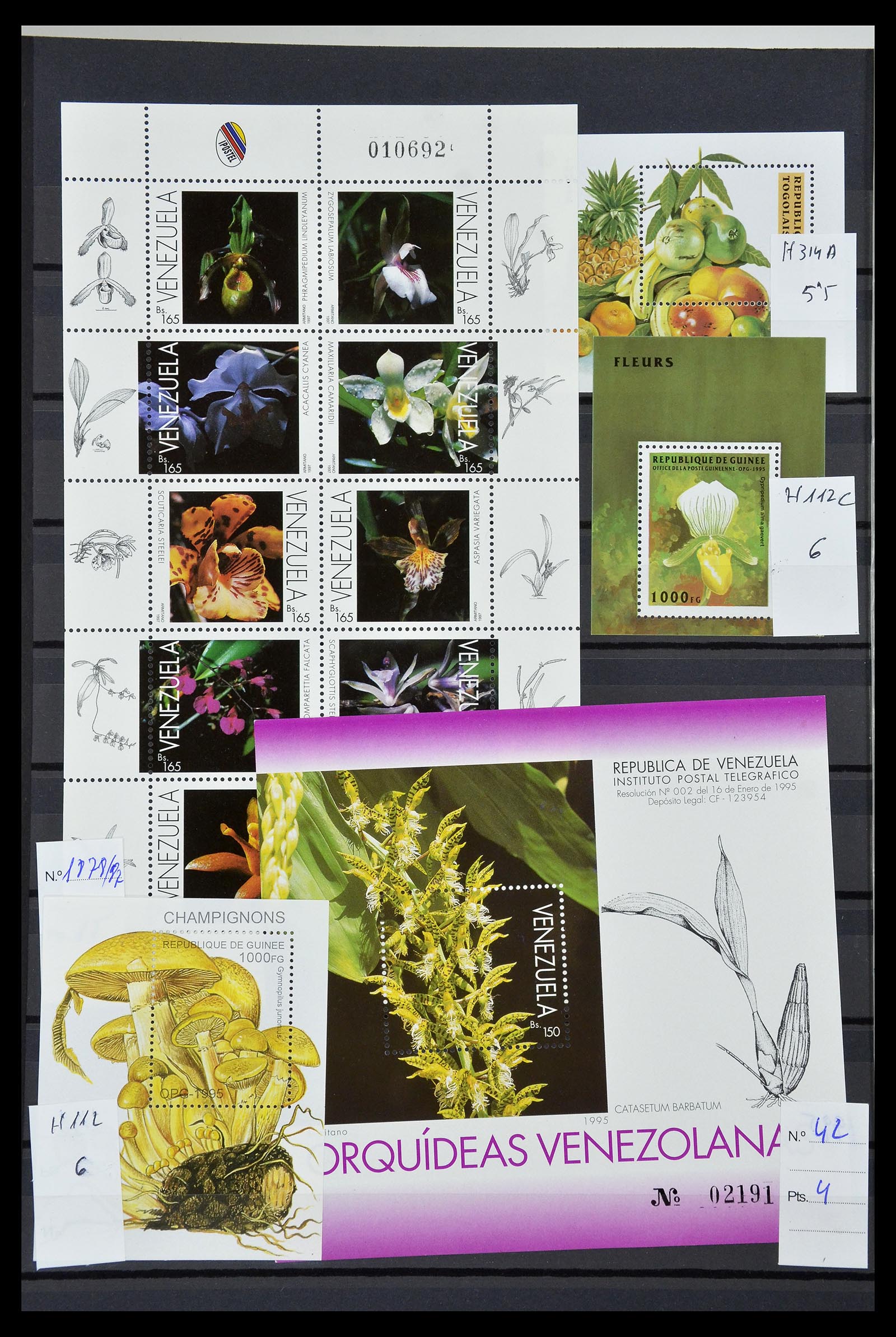34764 056 - Postzegelverzameling 34764 Vogels 1950-2017!