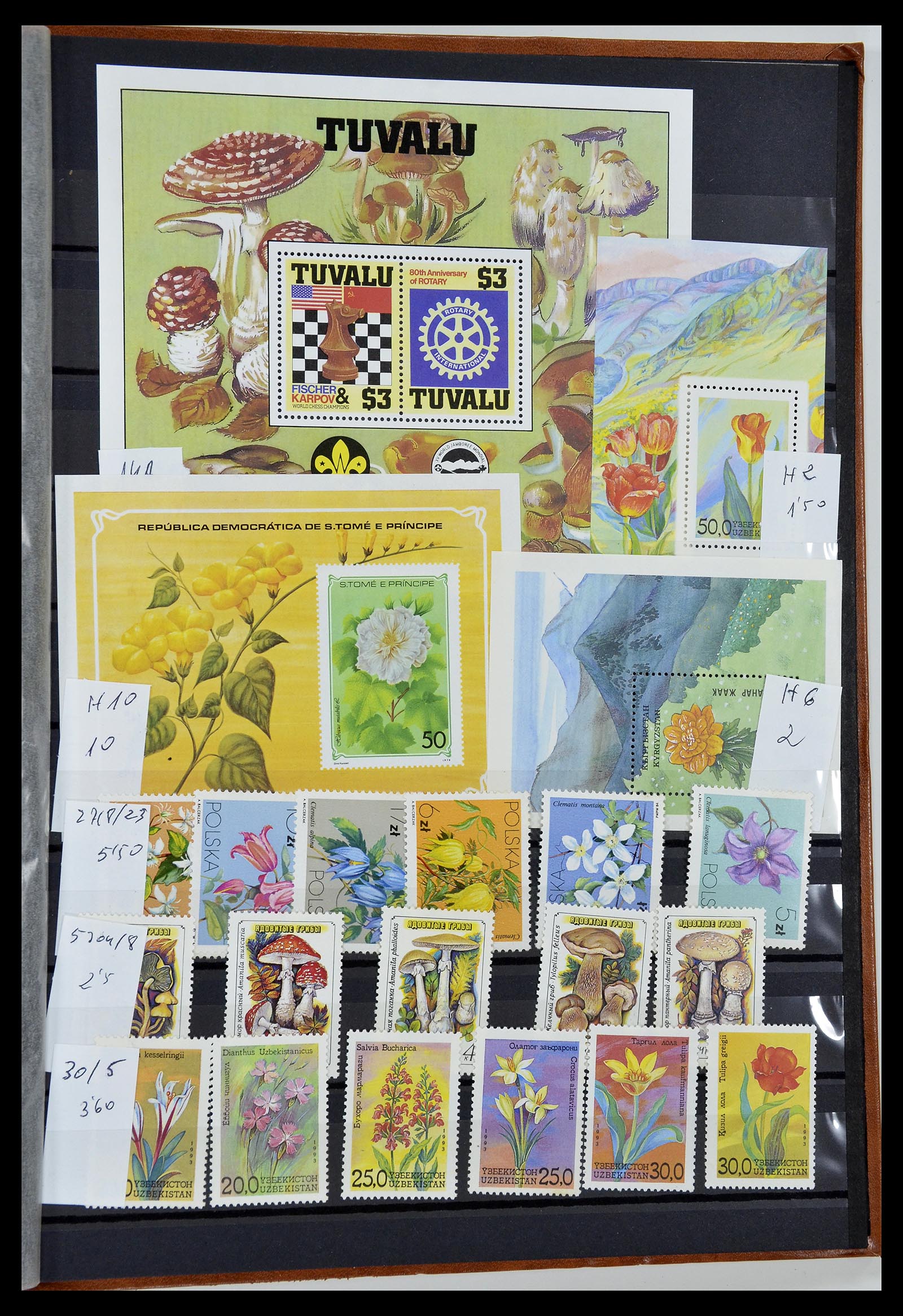 34764 059 - Postzegelverzameling 34764 Vogels 1950-2017!