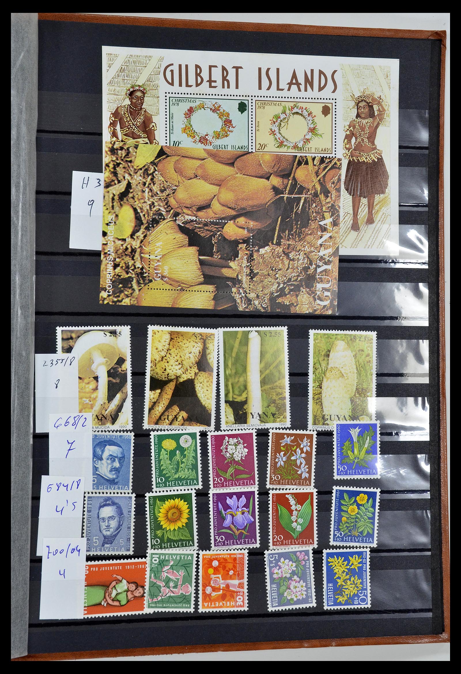 34764 063 - Postzegelverzameling 34764 Vogels 1950-2017!
