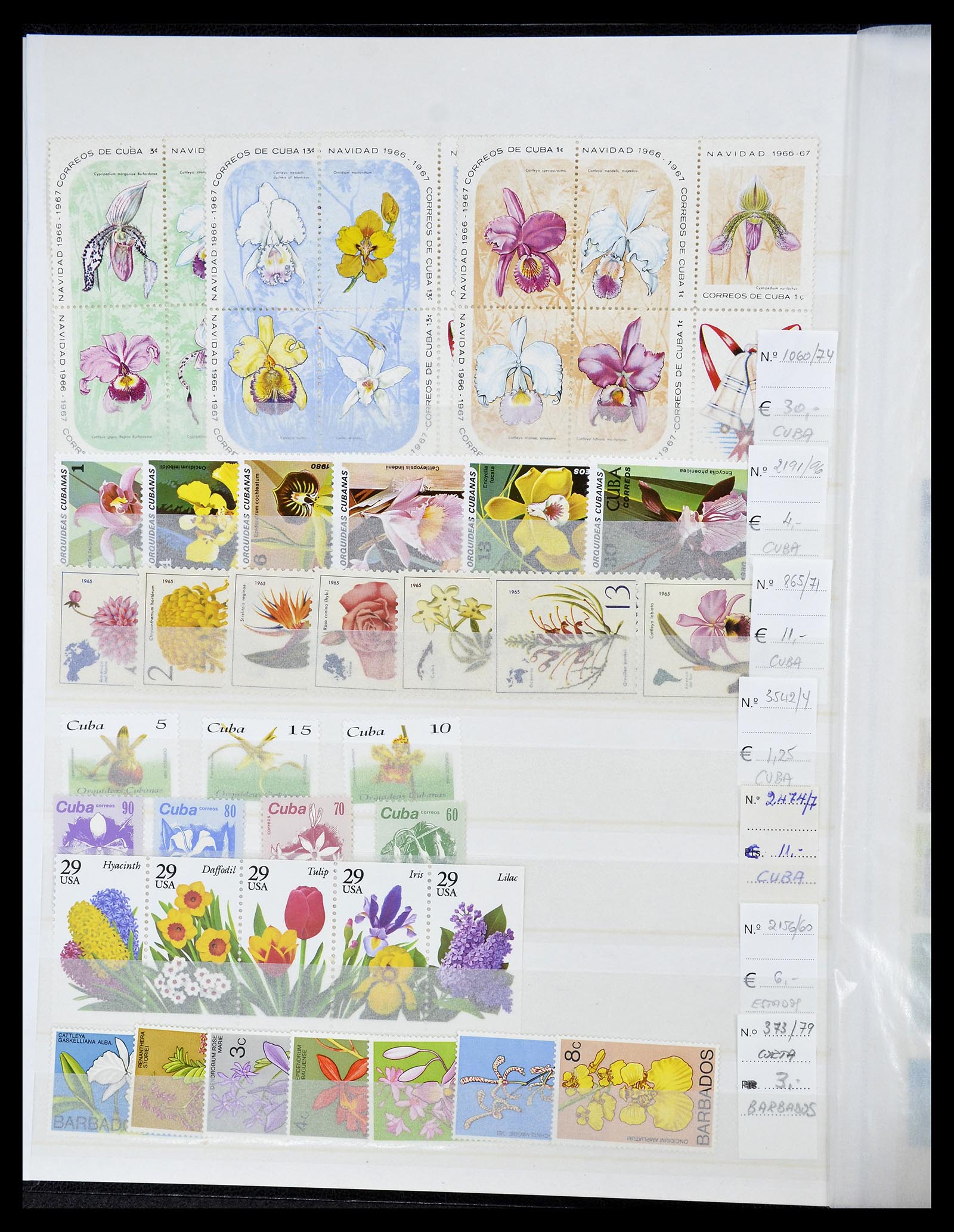 34777 004 - Postzegelverzameling 34777 Orchideeën 1946-2013.