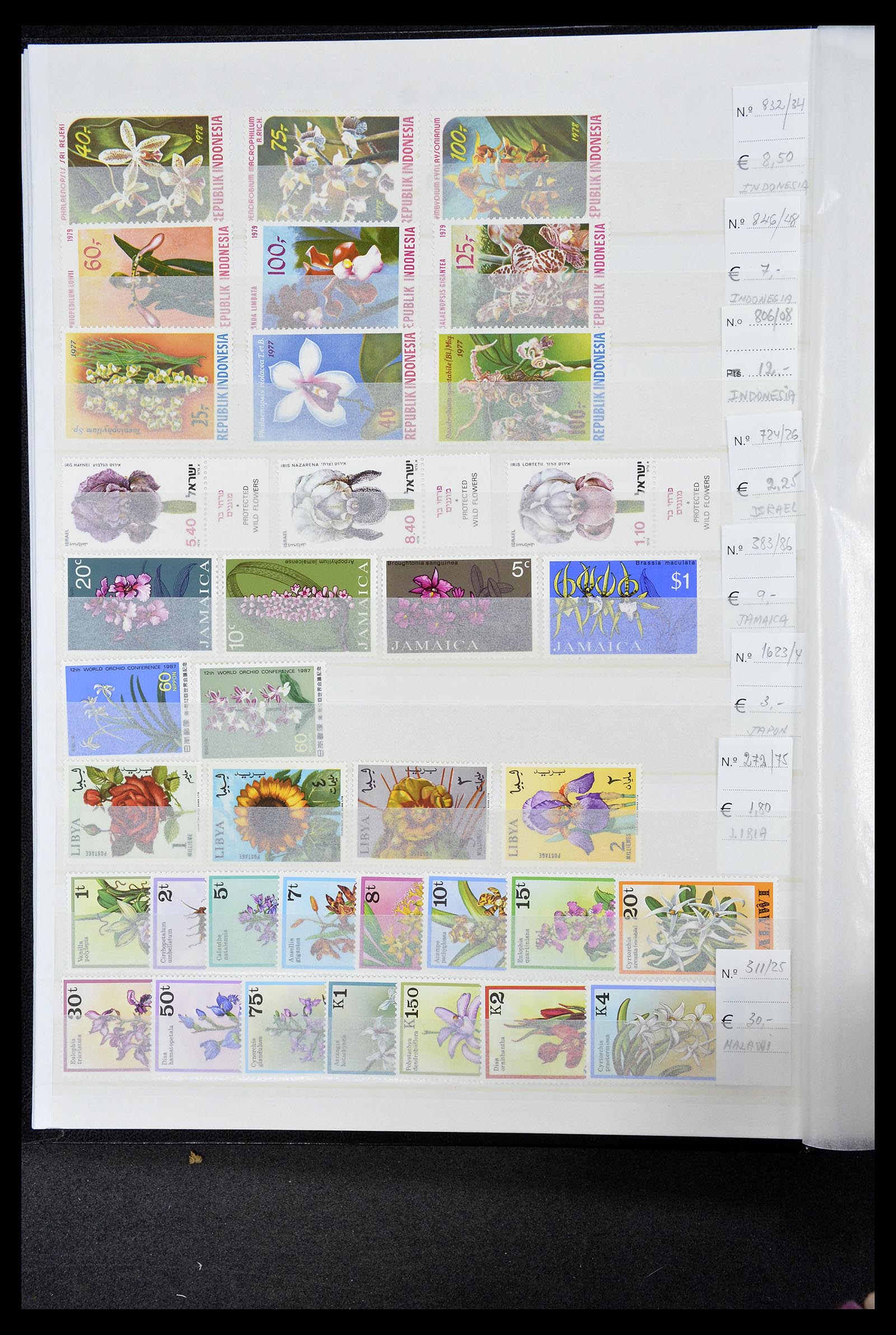 34777 006 - Postzegelverzameling 34777 Orchideeën 1946-2013.