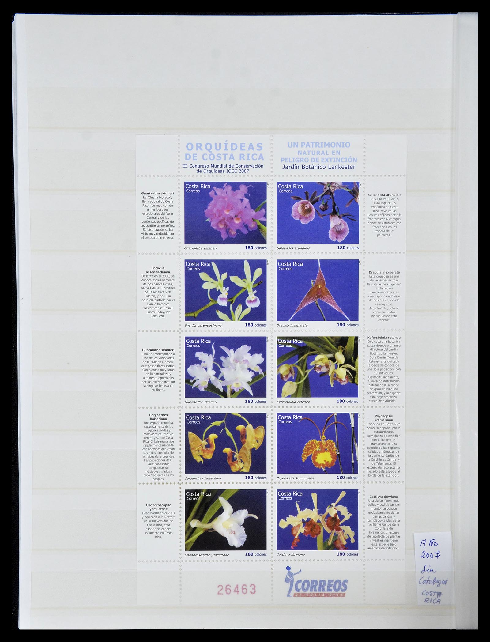 34777 016 - Postzegelverzameling 34777 Orchideeën 1946-2013.