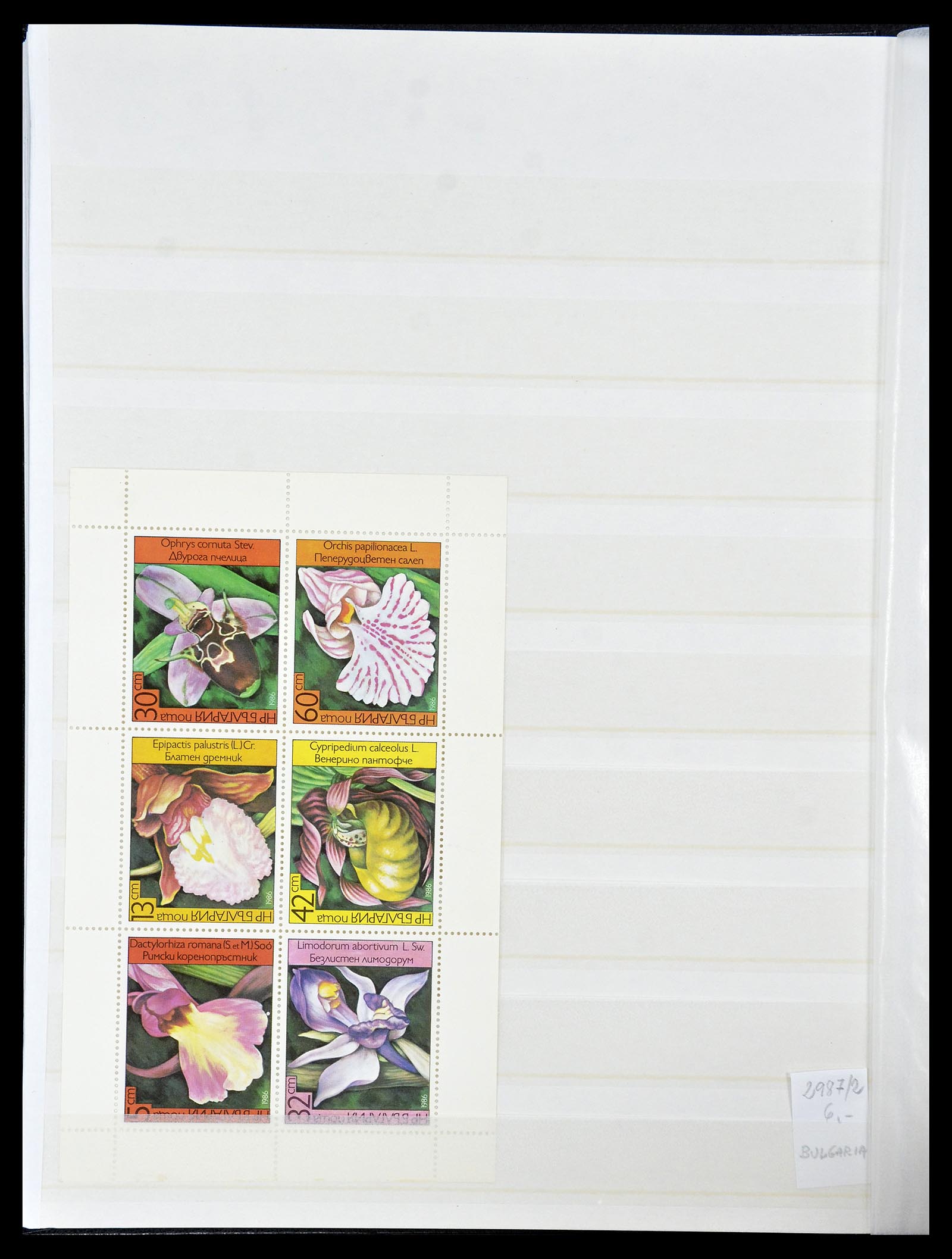 34777 020 - Postzegelverzameling 34777 Orchideeën 1946-2013.