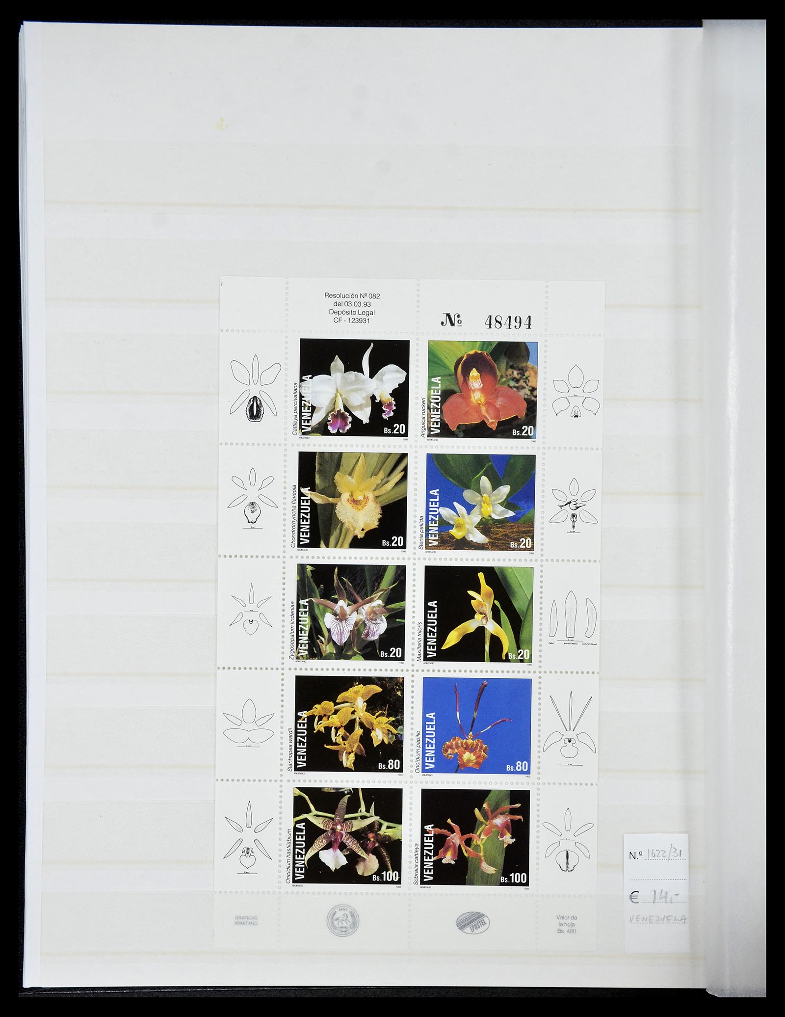 34777 026 - Postzegelverzameling 34777 Orchideeën 1946-2013.