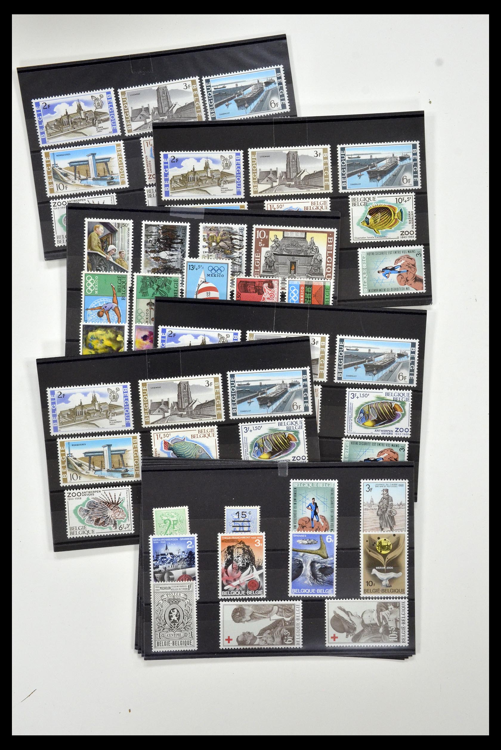 34939 009 - Postzegelverzameling 34939 België 1960-1969.