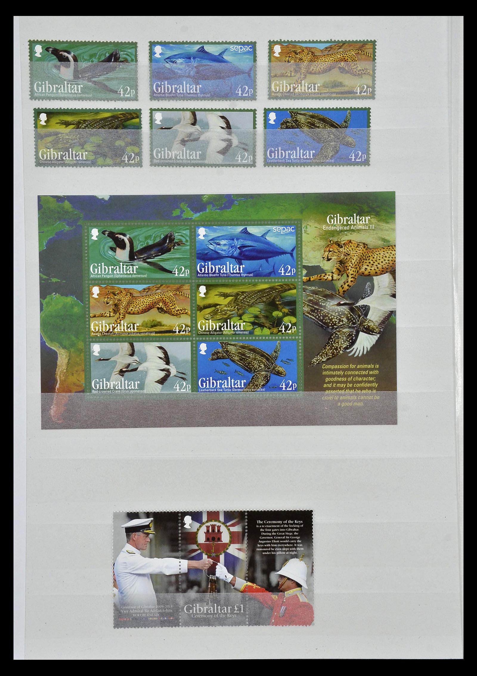 34947 141 - Postzegelverzameling 34947 Gibraltar 1912-2013.