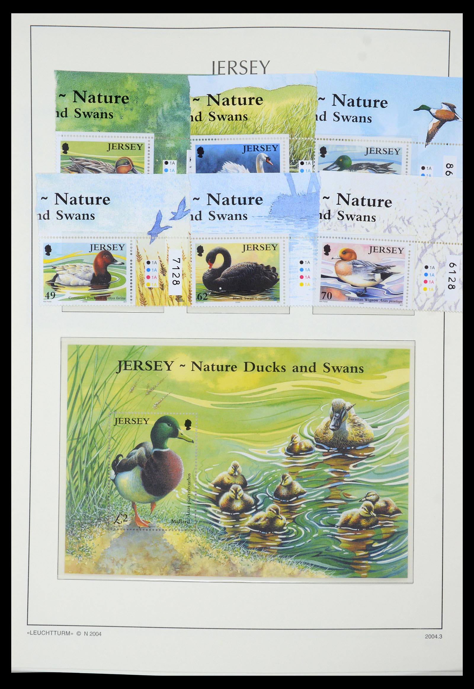 34958 126 - Postzegelverzameling 34958 Kanaaleilanden 1969-2007.