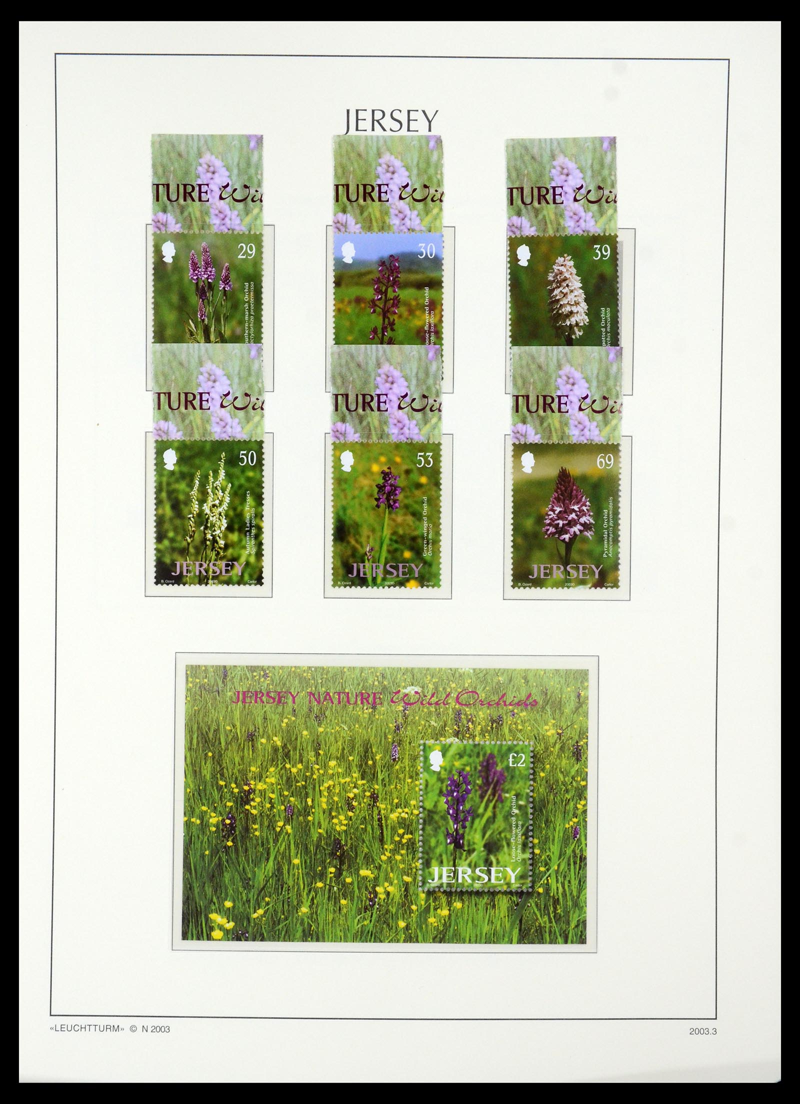 34958 137 - Postzegelverzameling 34958 Kanaaleilanden 1969-2007.