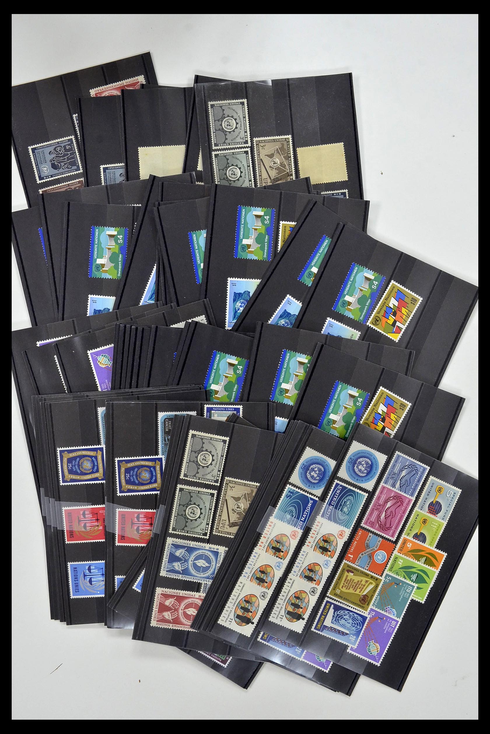 34973 015 - Postzegelverzameling 34973 Verenigde Naties 1951-2000.