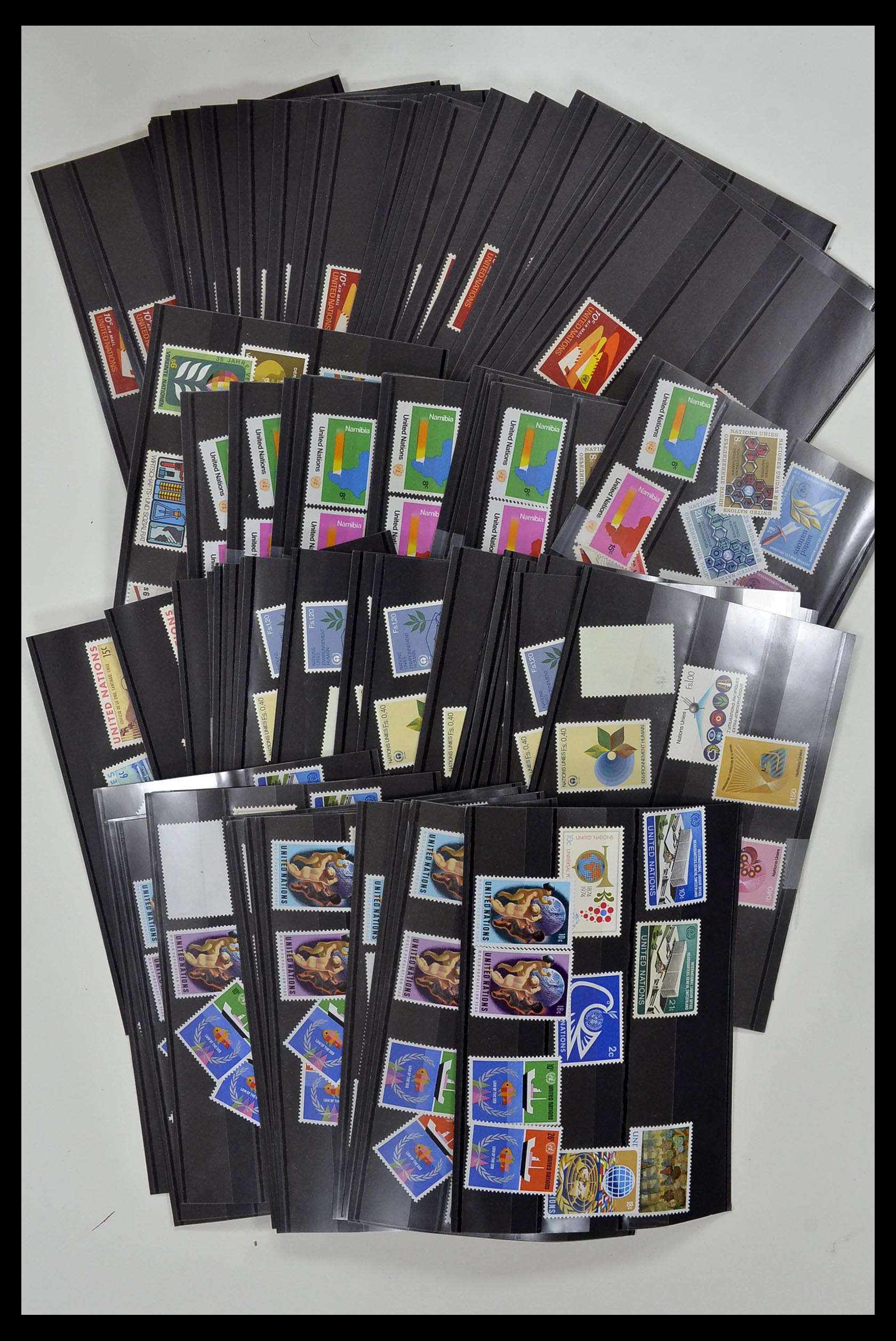 34973 019 - Postzegelverzameling 34973 Verenigde Naties 1951-2000.