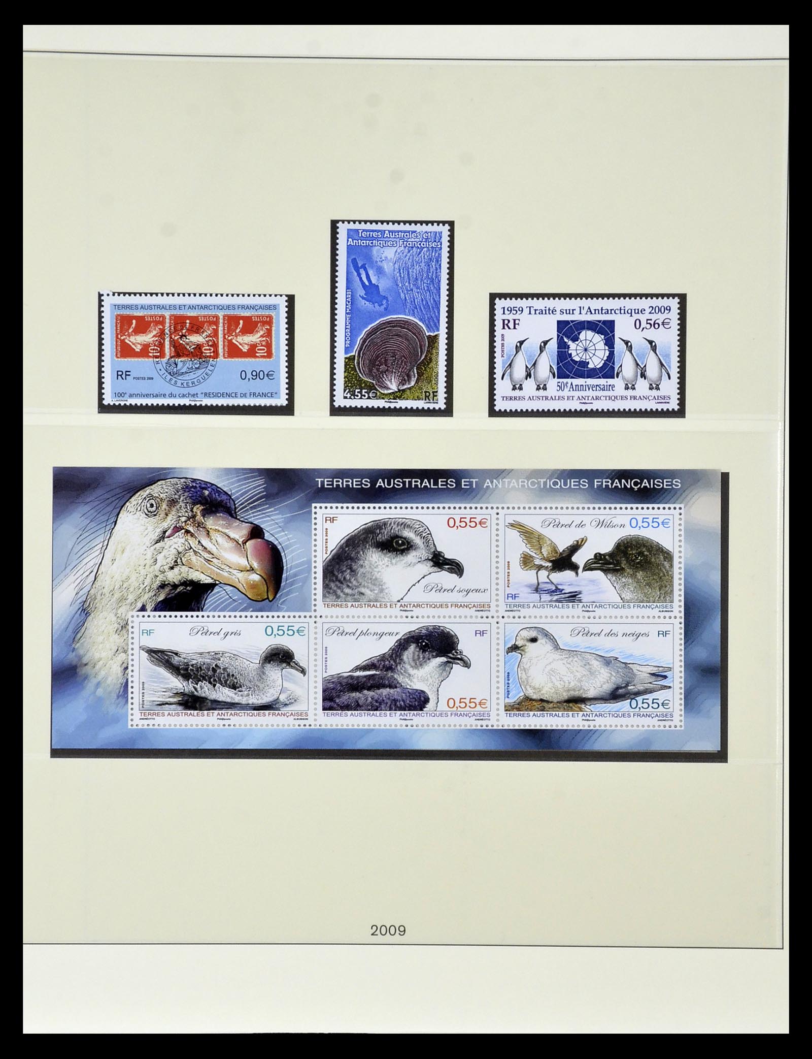 35051 091 - Postzegelverzameling 35051 Frans Antarctica 1948-2016.