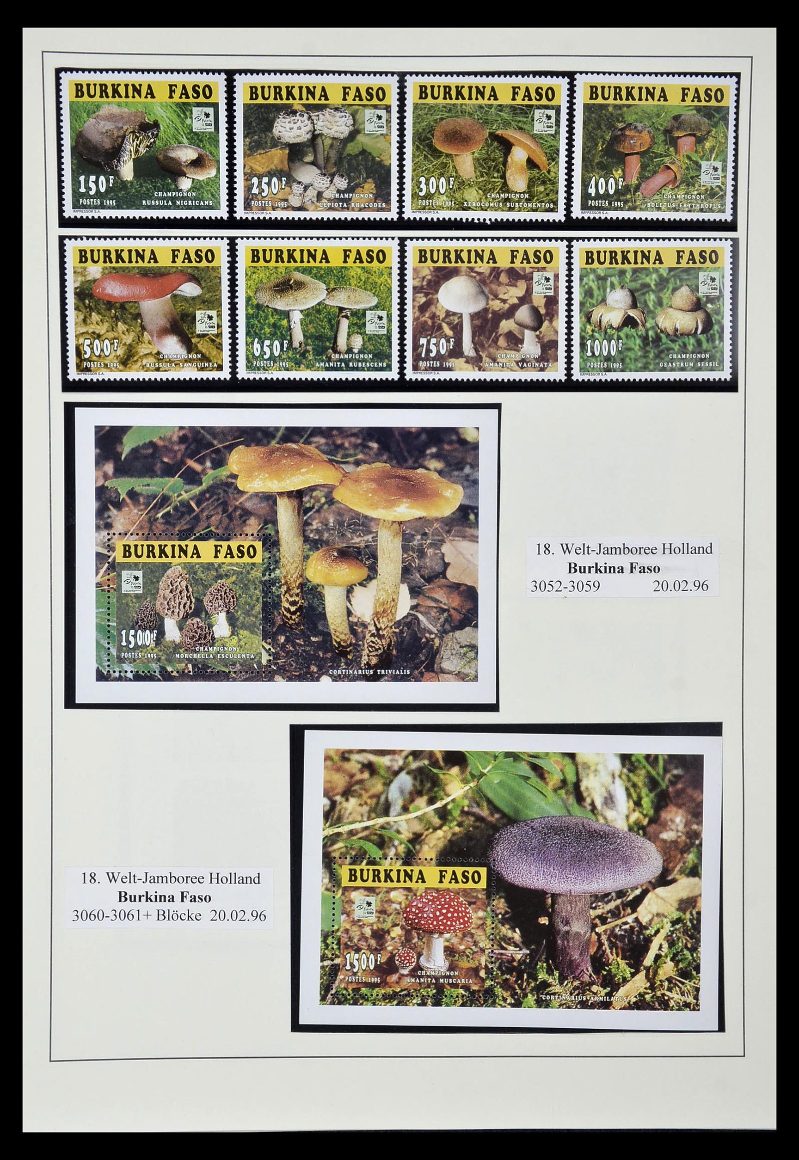 35069 533 - Postzegelverzameling 35069 Motief scouting 1925-2010.