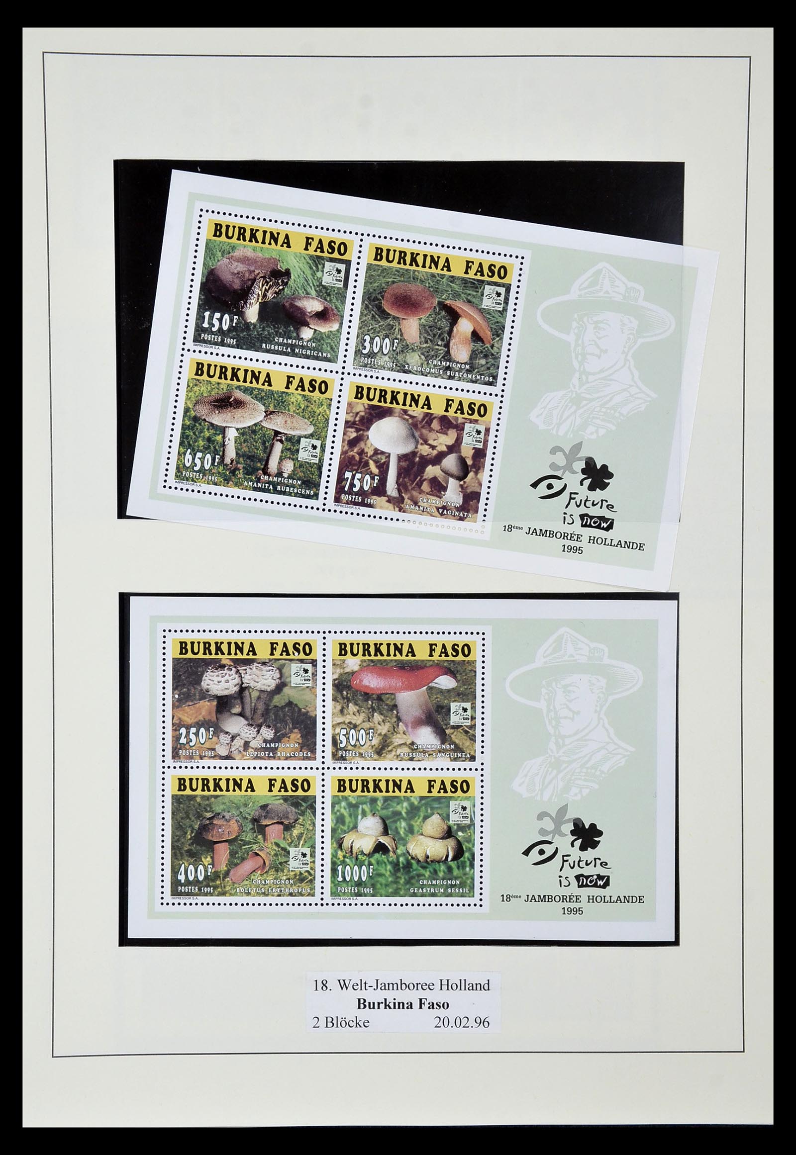 35069 534 - Postzegelverzameling 35069 Motief scouting 1925-2010.
