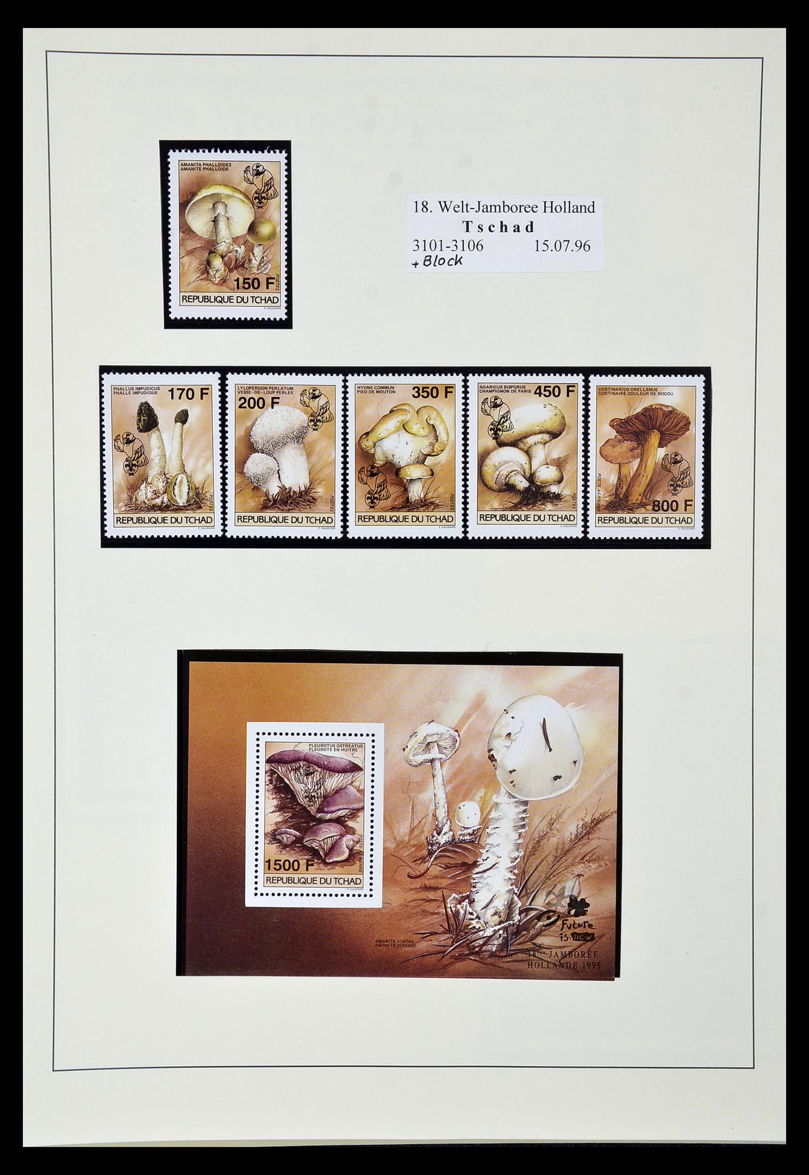 35069 539 - Postzegelverzameling 35069 Motief scouting 1925-2010.