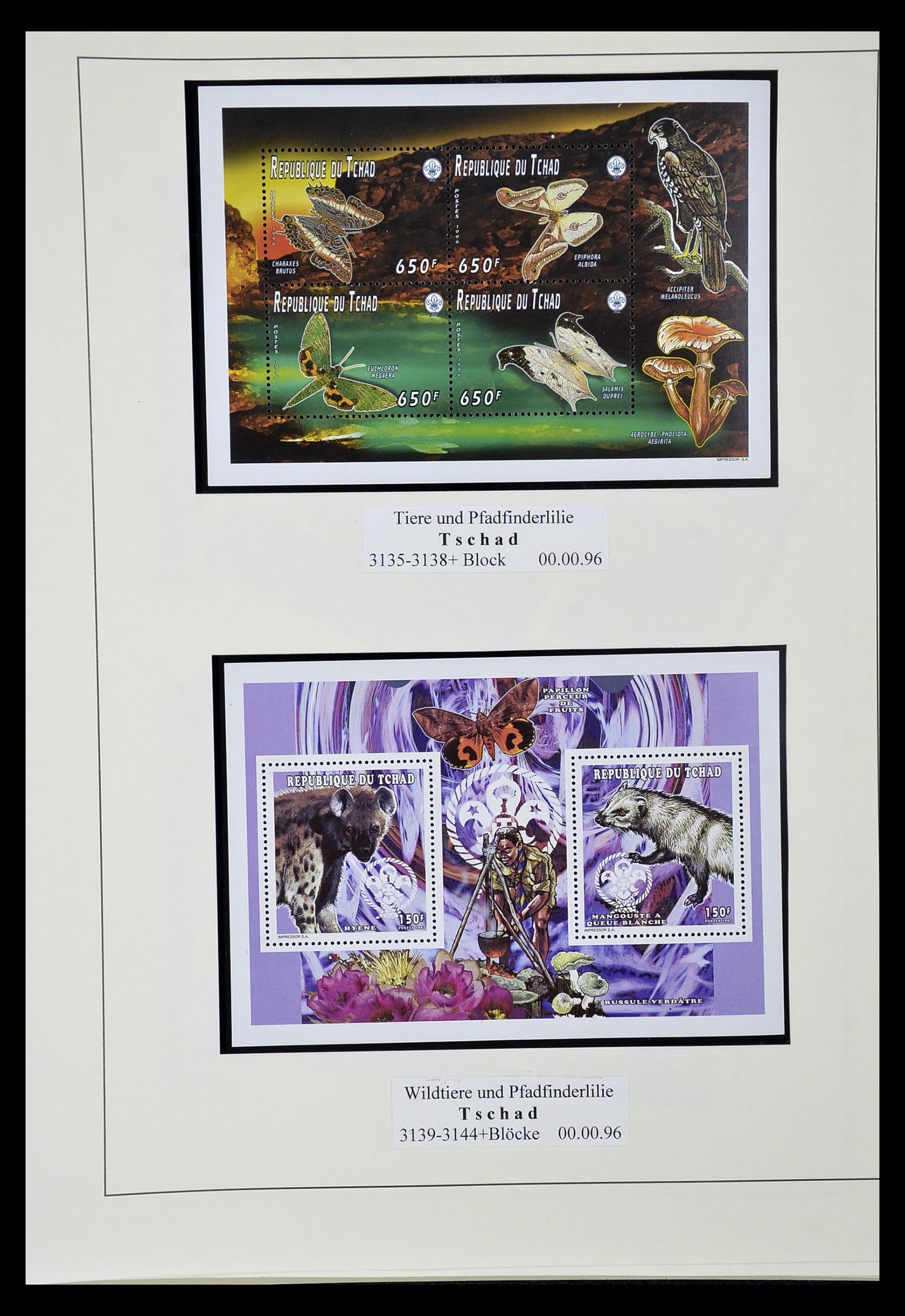 35069 543 - Postzegelverzameling 35069 Motief scouting 1925-2010.