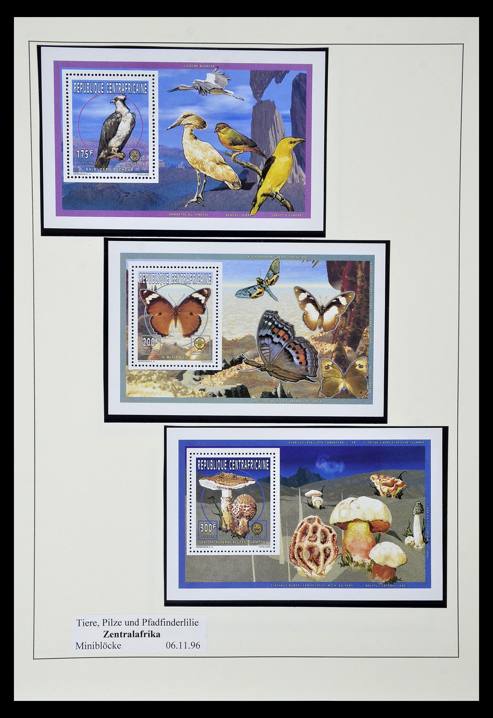 35069 545 - Postzegelverzameling 35069 Motief scouting 1925-2010.